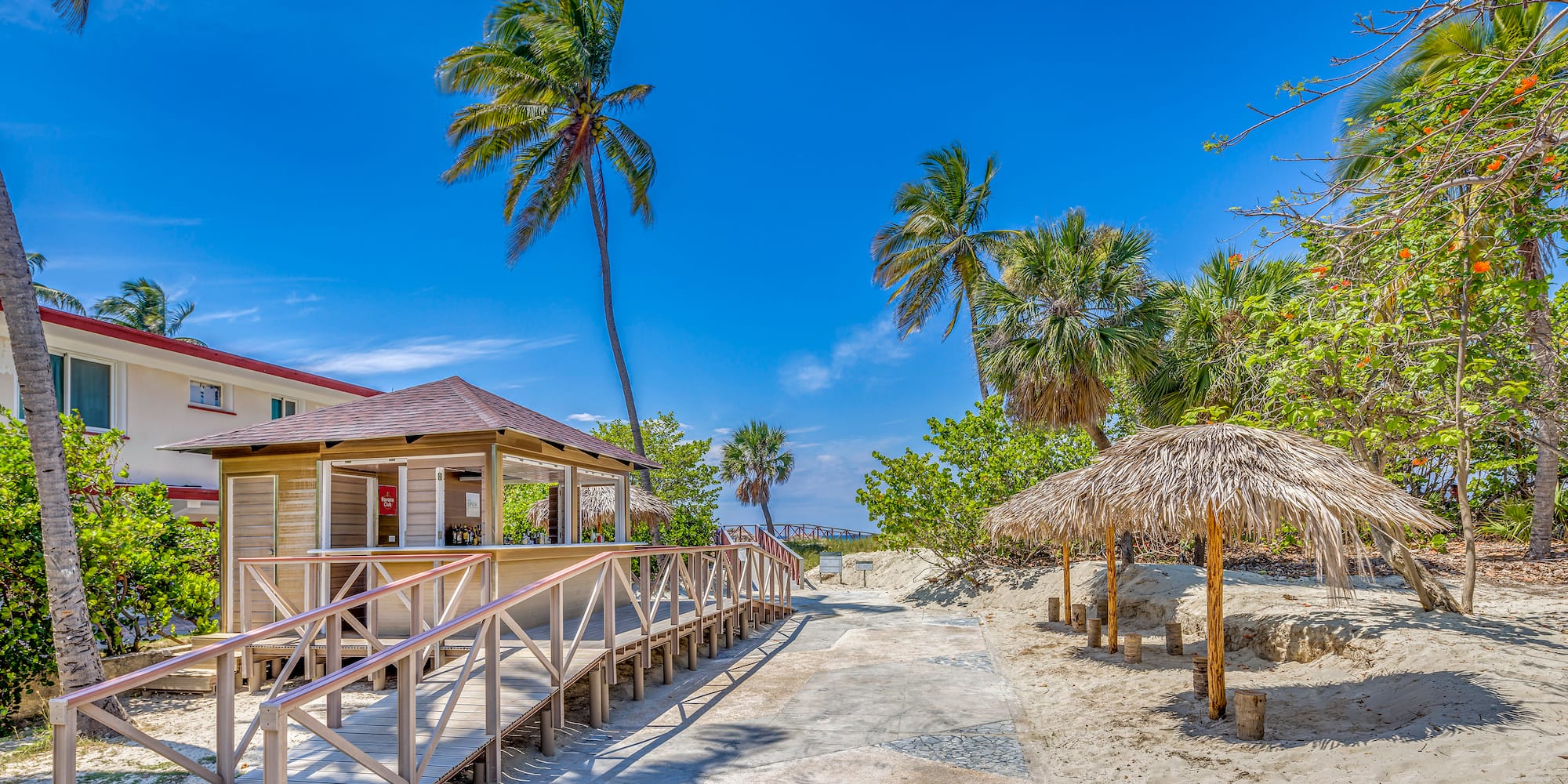 a walkway with a building and palm trees