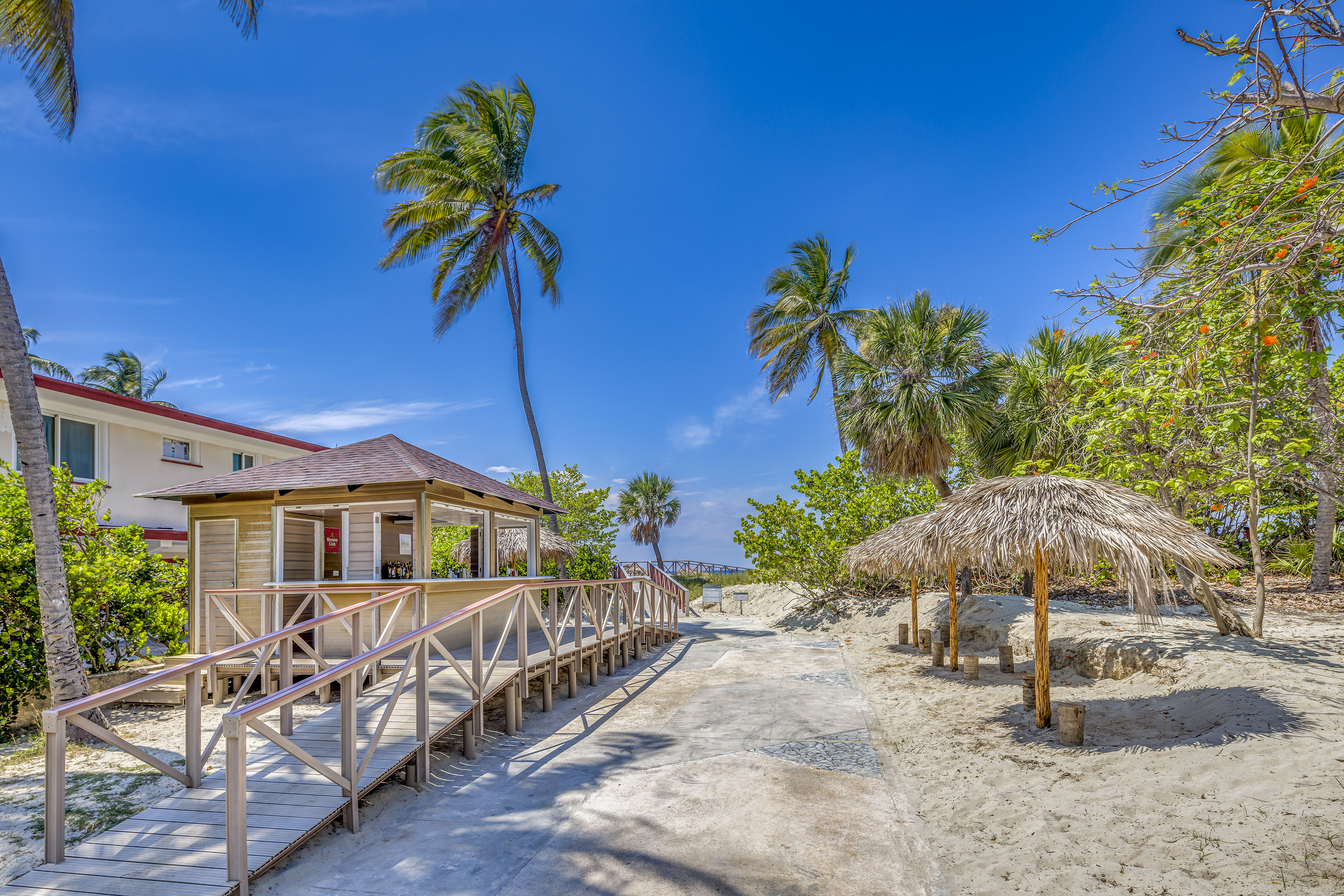 a walkway with a building and palm trees