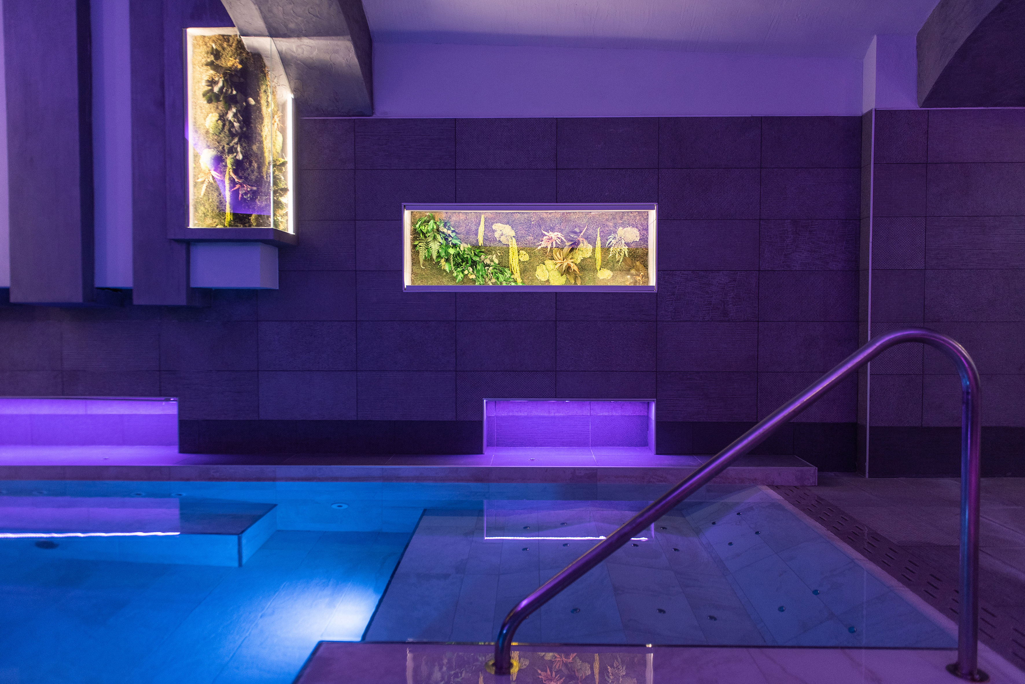 a swimming pool with a railing and plants in the back