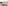 Paris balcony, flowers on table, panoramic view of city rooftops.