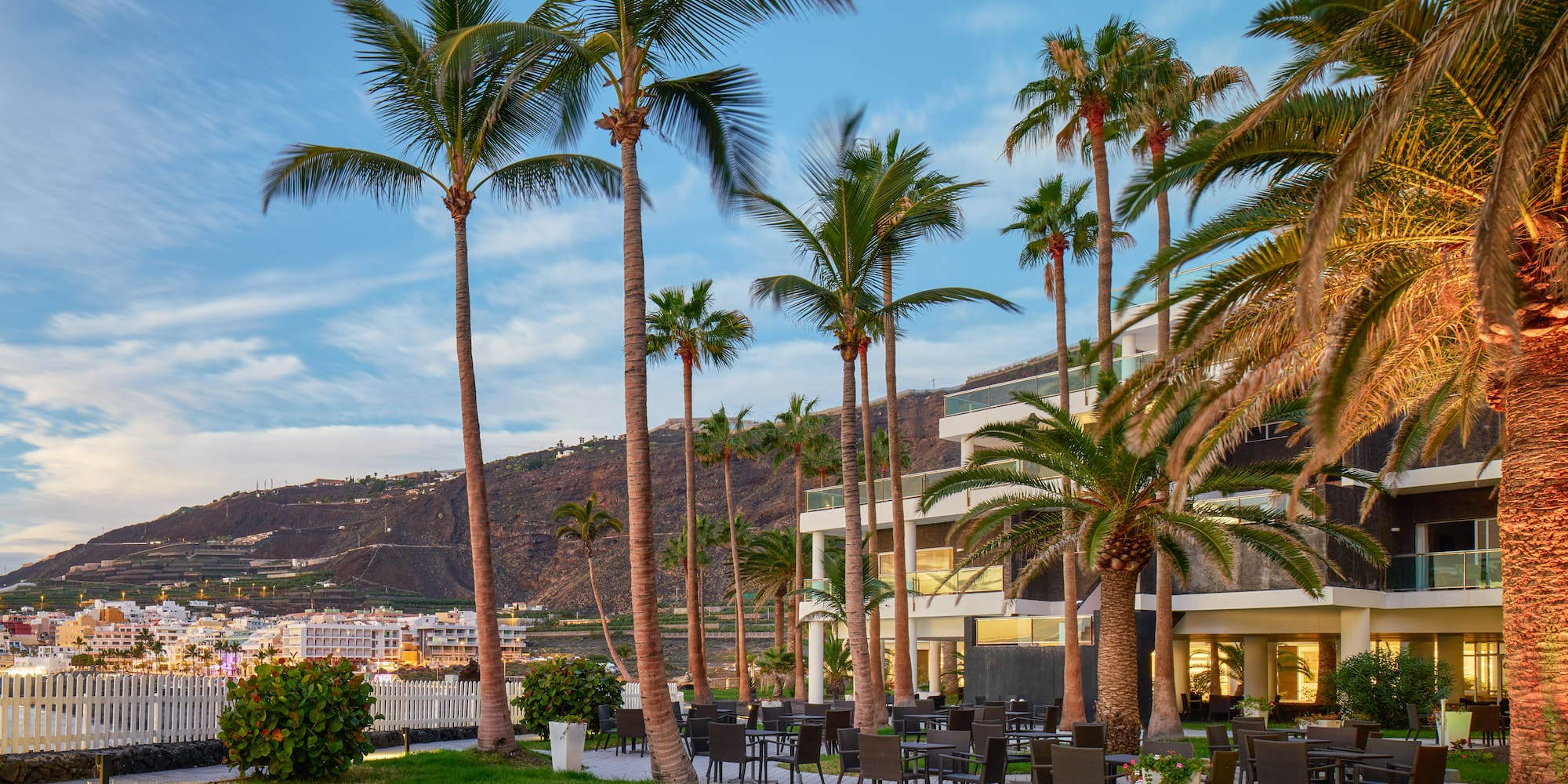a palm trees next to a building