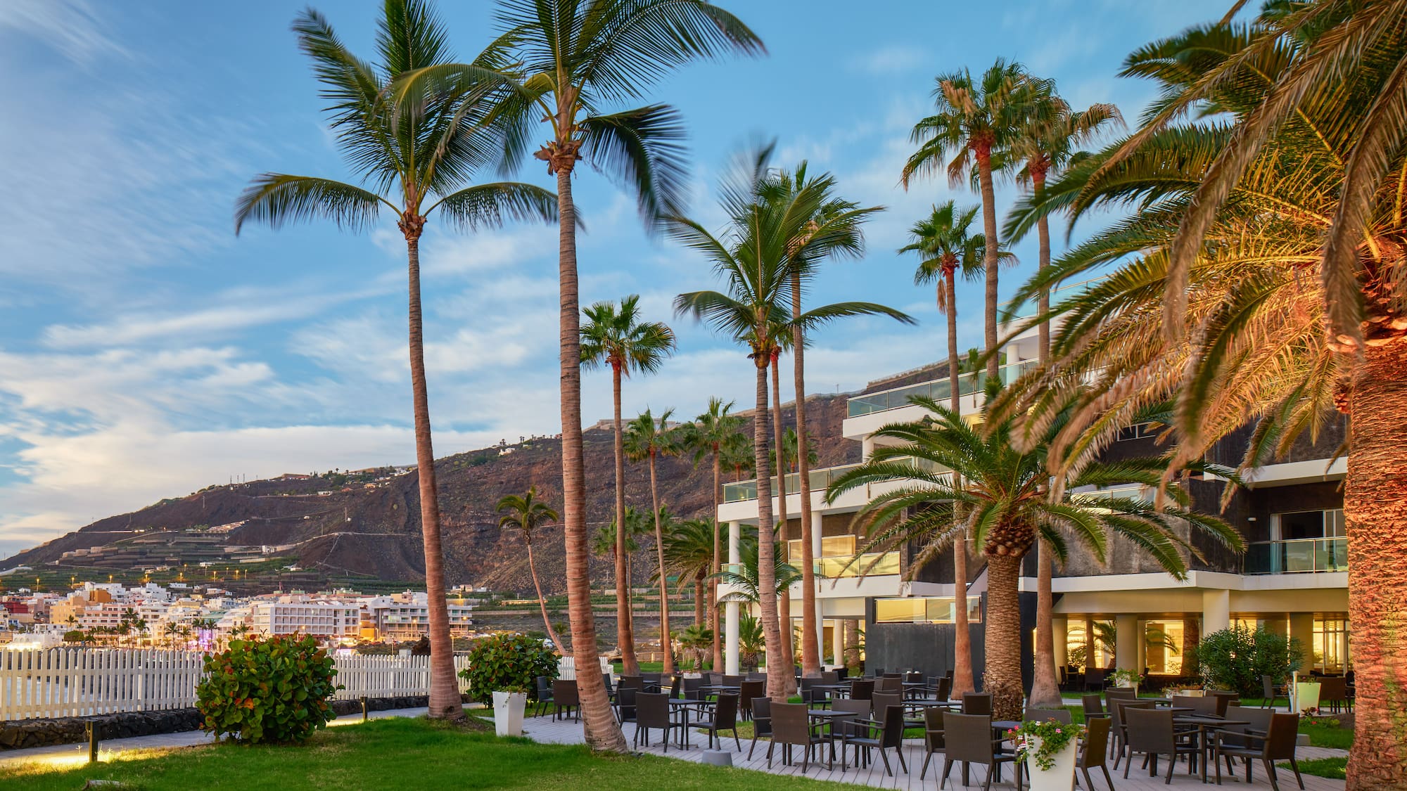 a palm trees next to a building