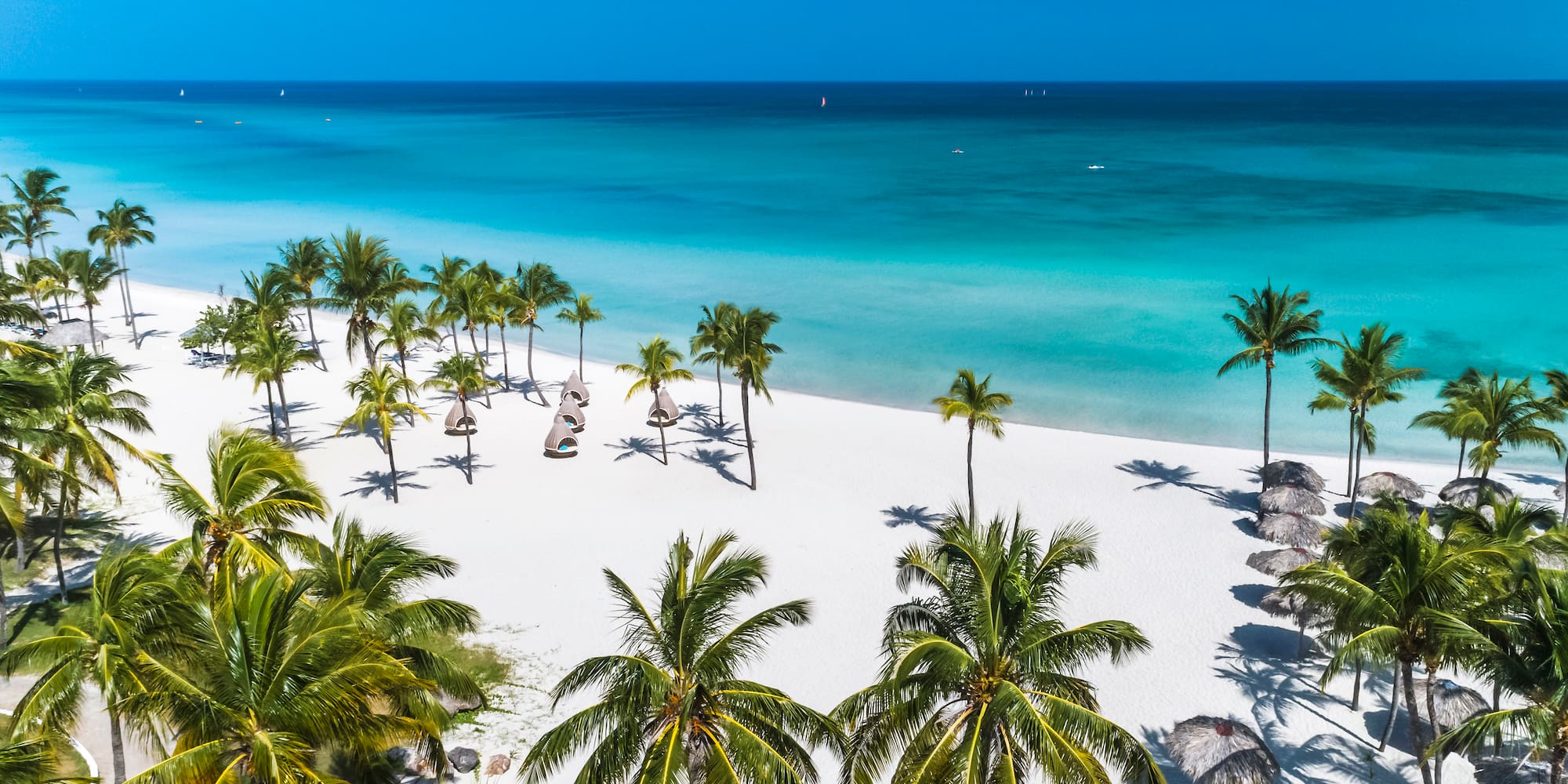 a beach with palm trees and umbrellas