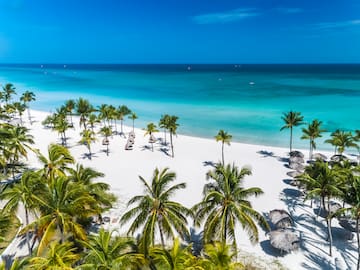 a beach with palm trees and umbrellas