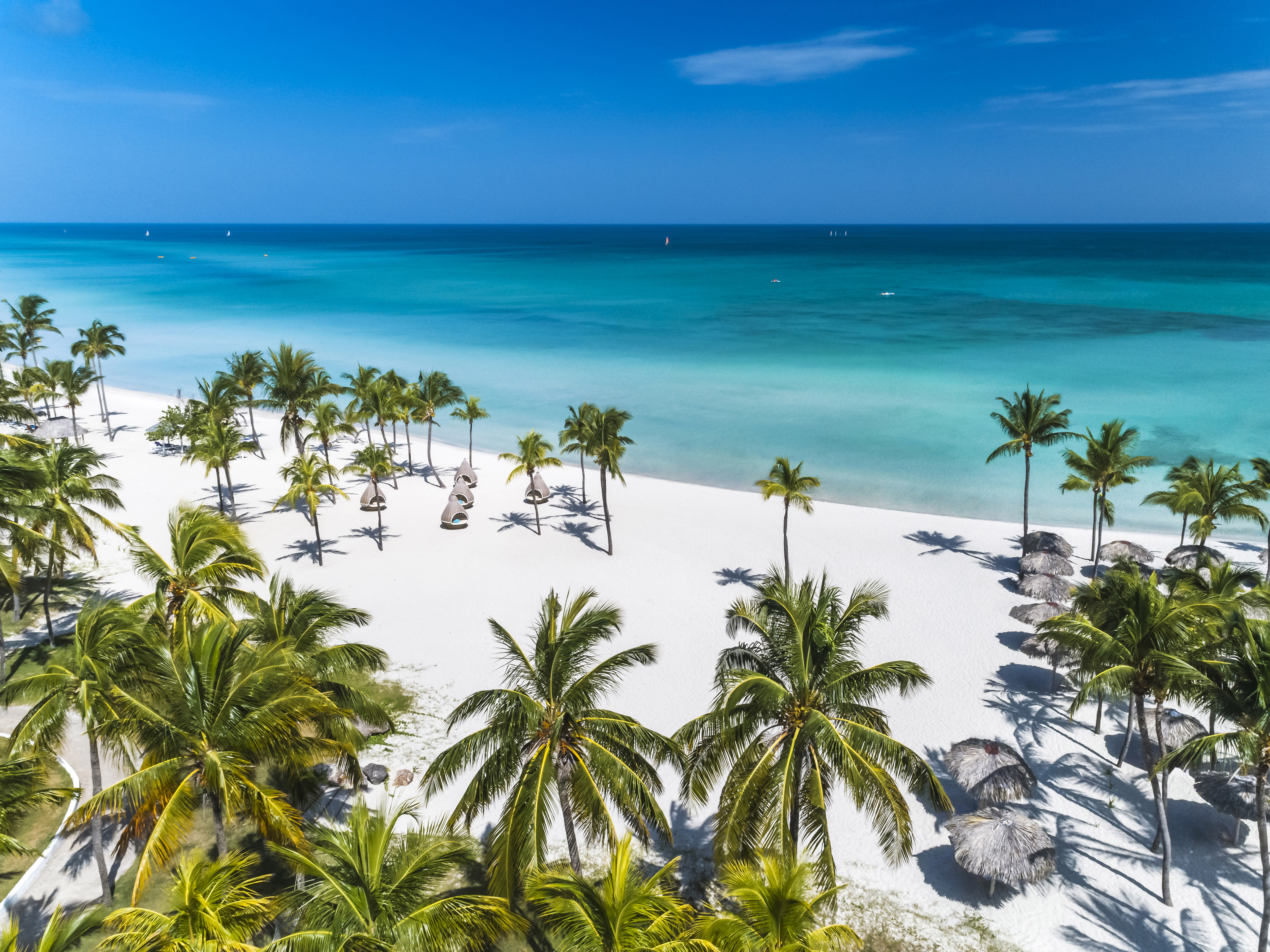 a beach with palm trees and umbrellas