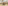 Modern conference room with tables, chairs, and stylish acoustic ceiling.