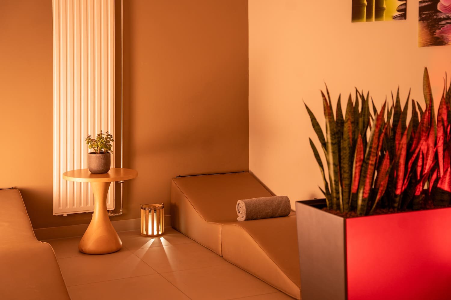 a room with a plant and a mat