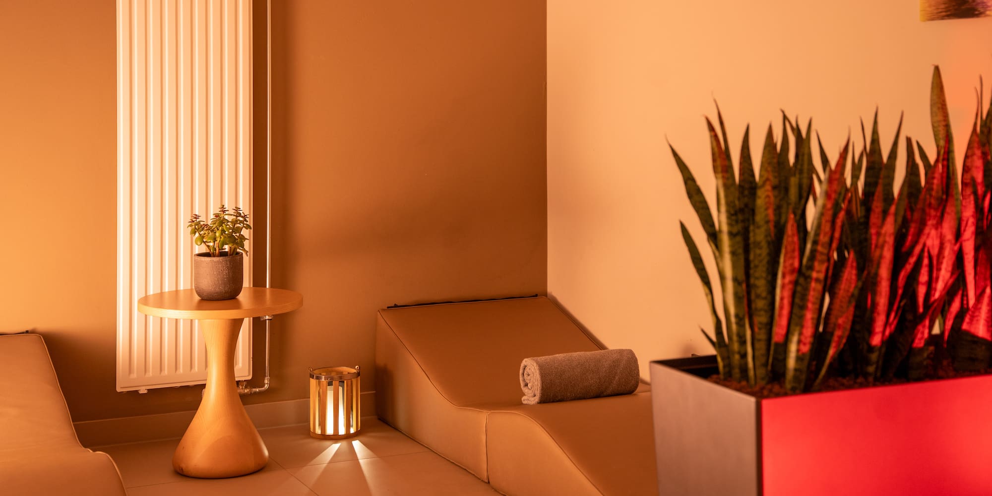 a room with a plant and a mat