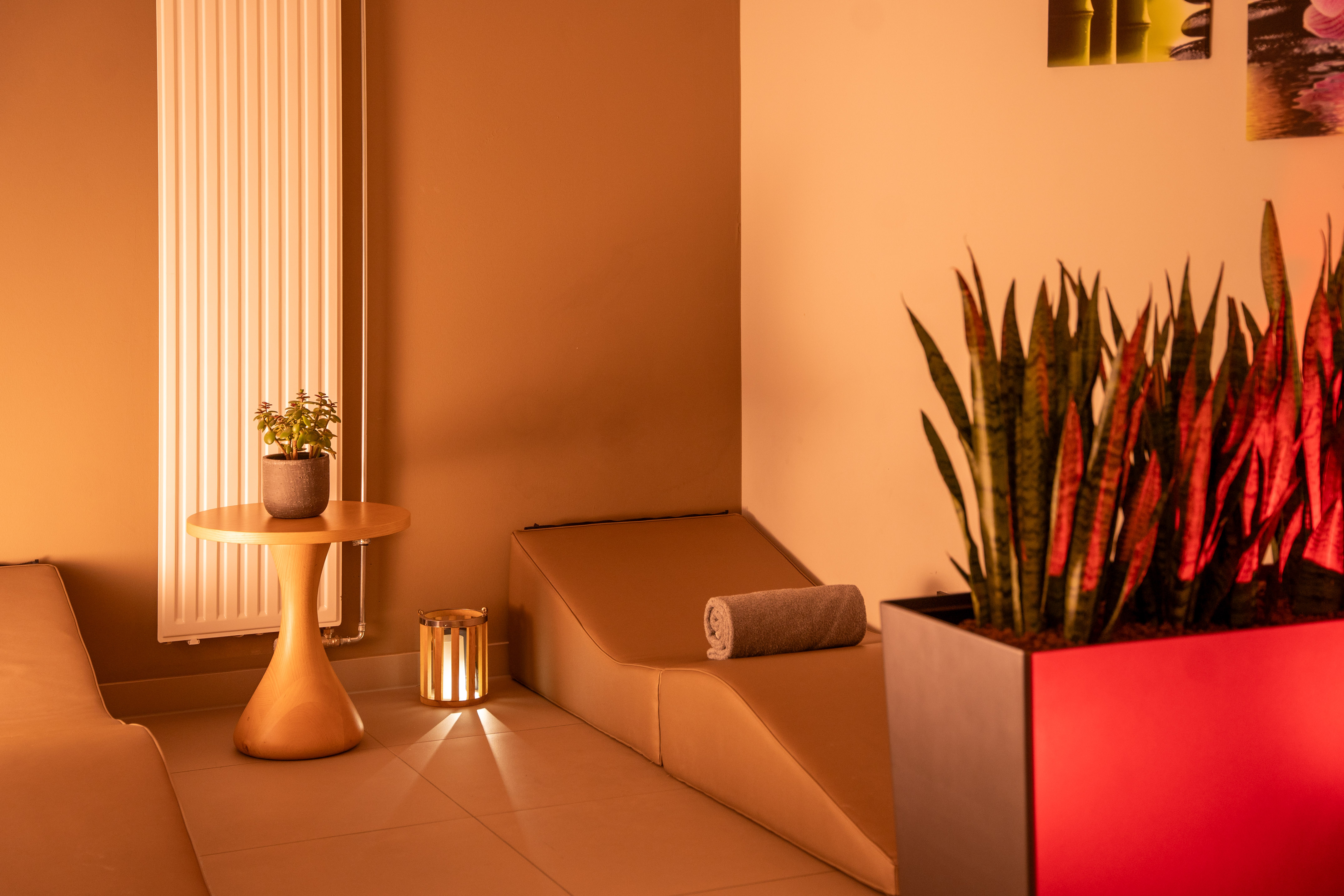 Cozy spa relaxation room with loungers, green plants, and warm ambient light.