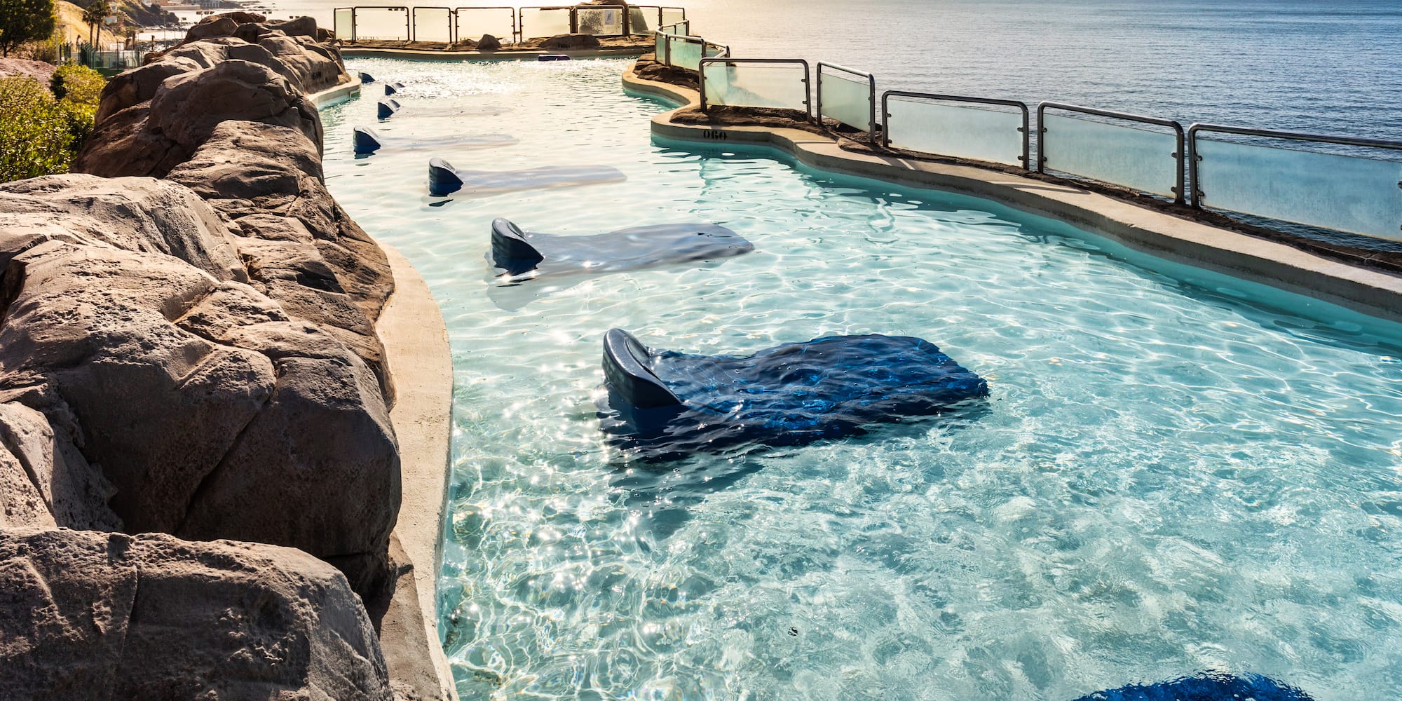 Coastal swimming pool with rock walls, blue ray loungers, and ocean view.
