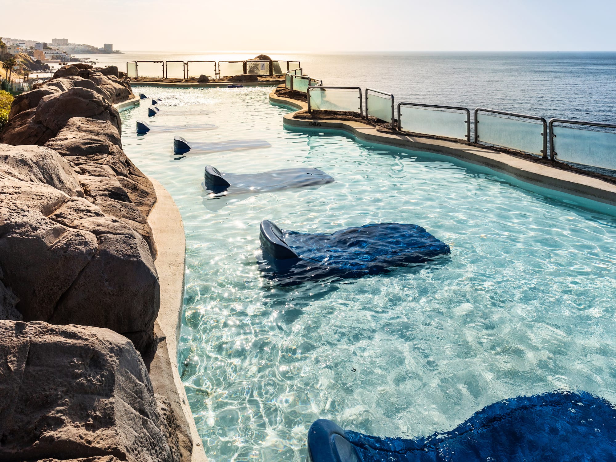 Coastal lagoon with clear water, rocky features, and blue stingray shapes.