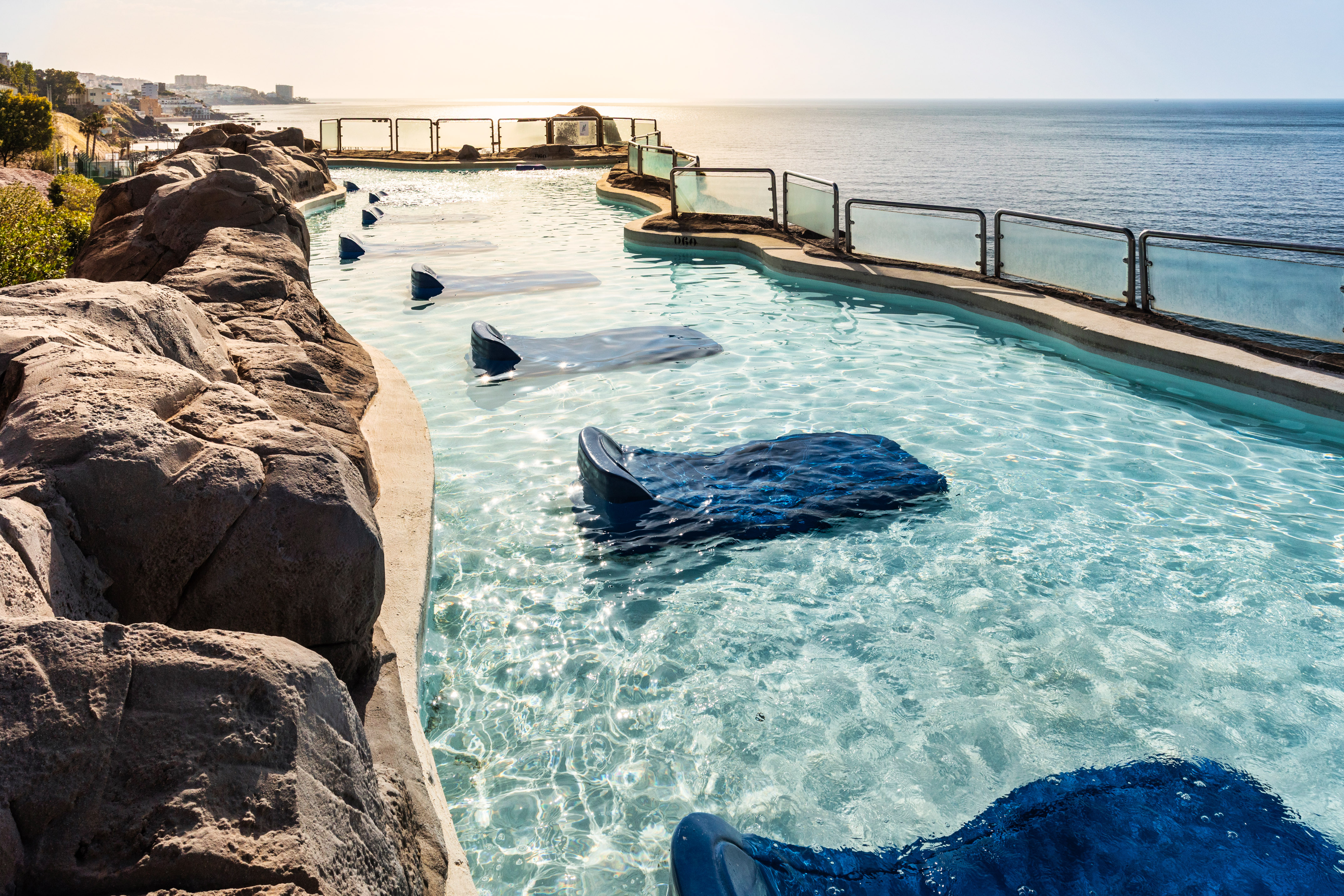 Coastal lagoon with clear water, rocky features, and blue stingray shapes.