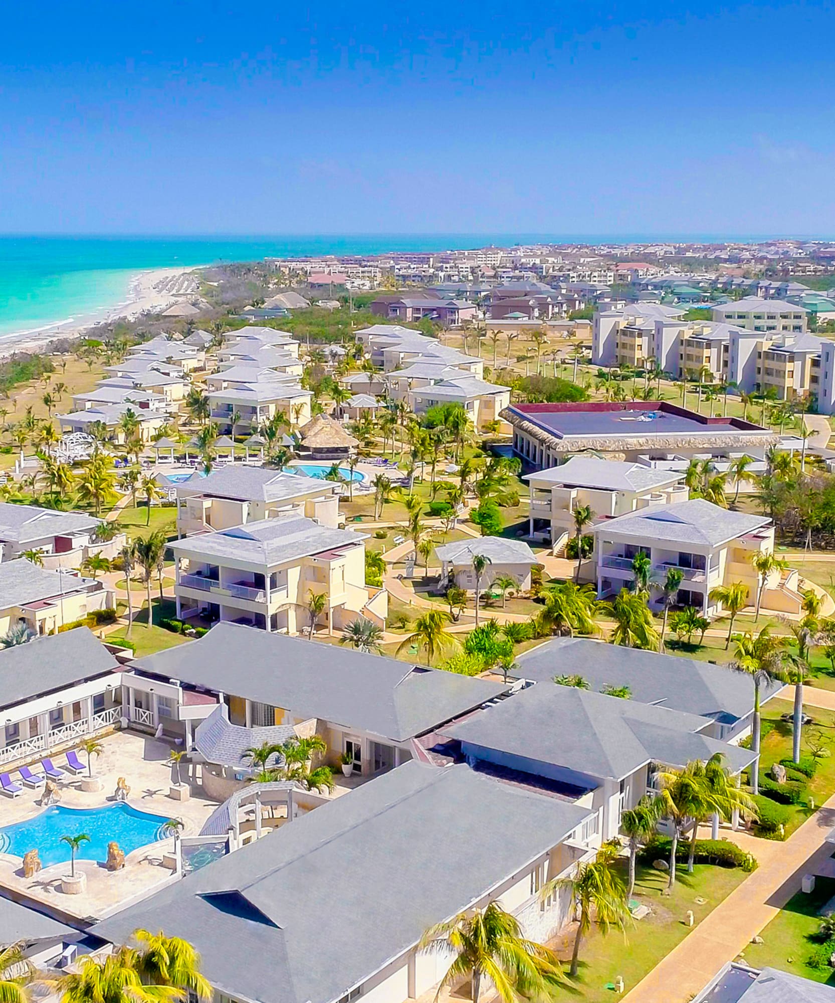 a group of houses with trees and a beach