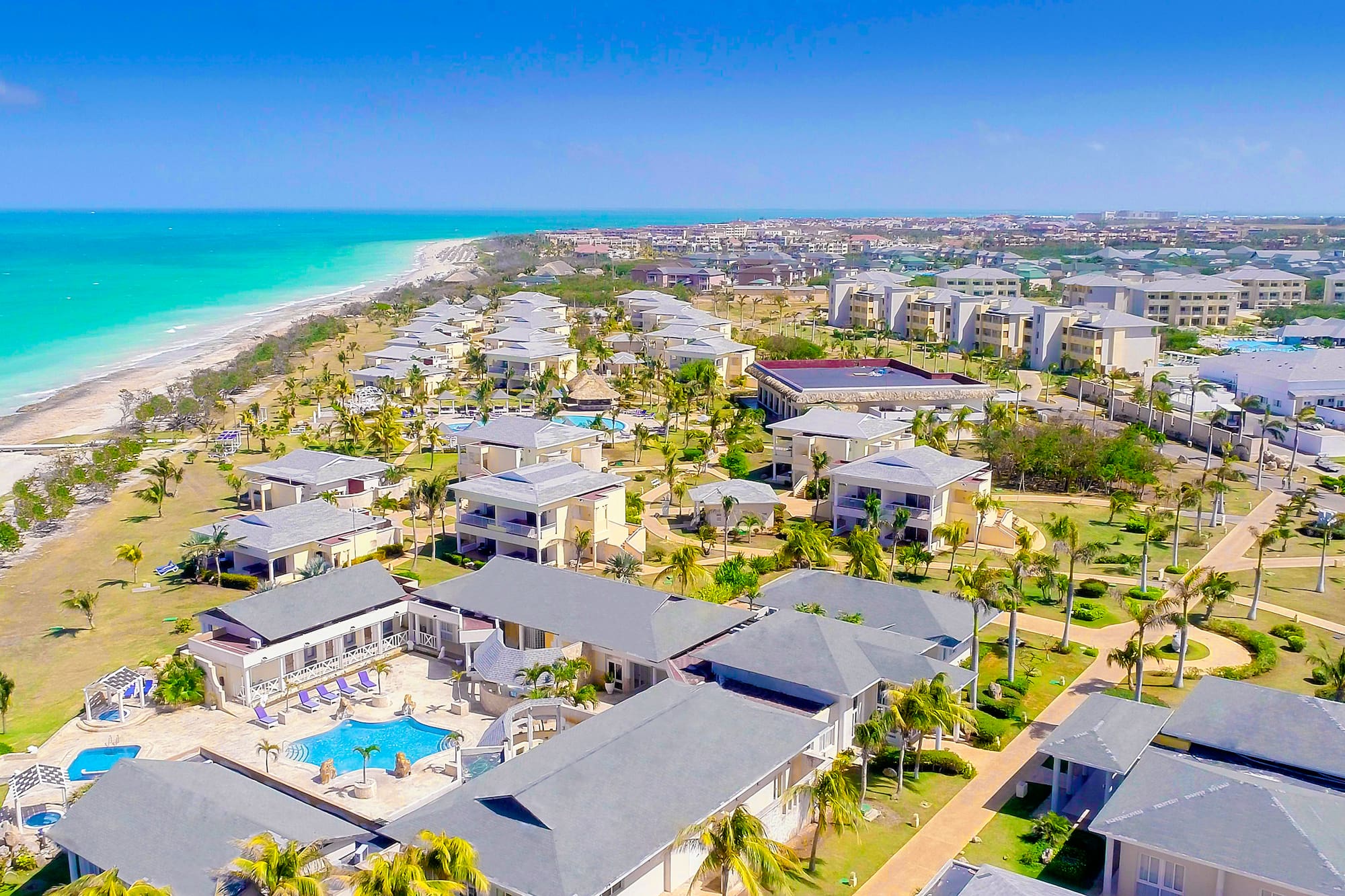 a group of houses with trees and a beach