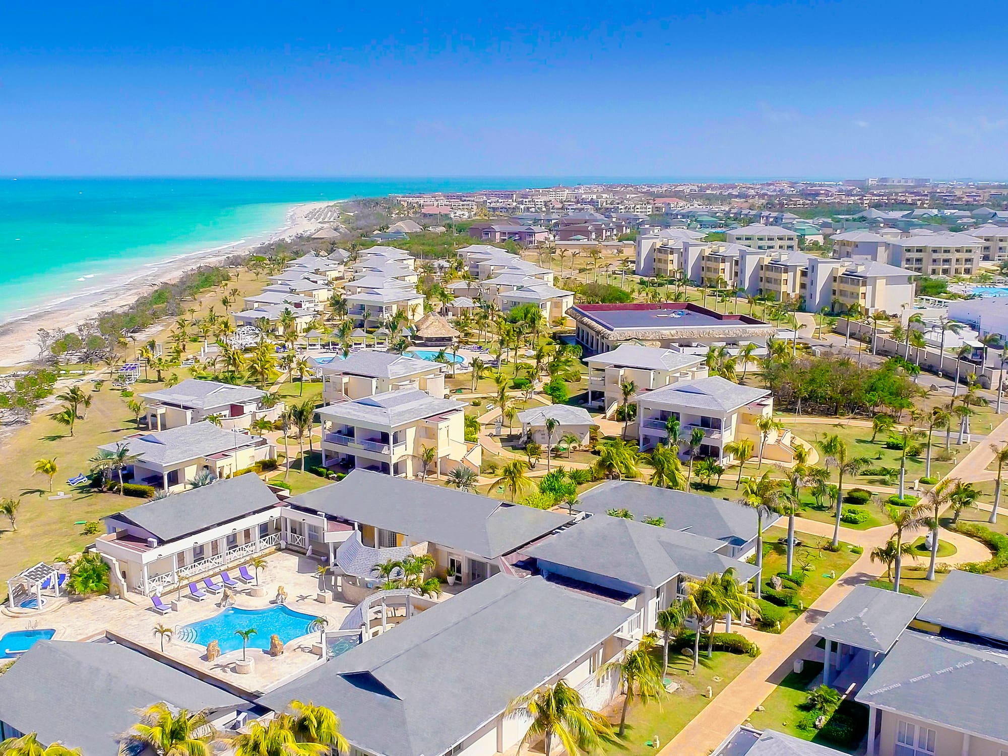 a group of houses with trees and a beach