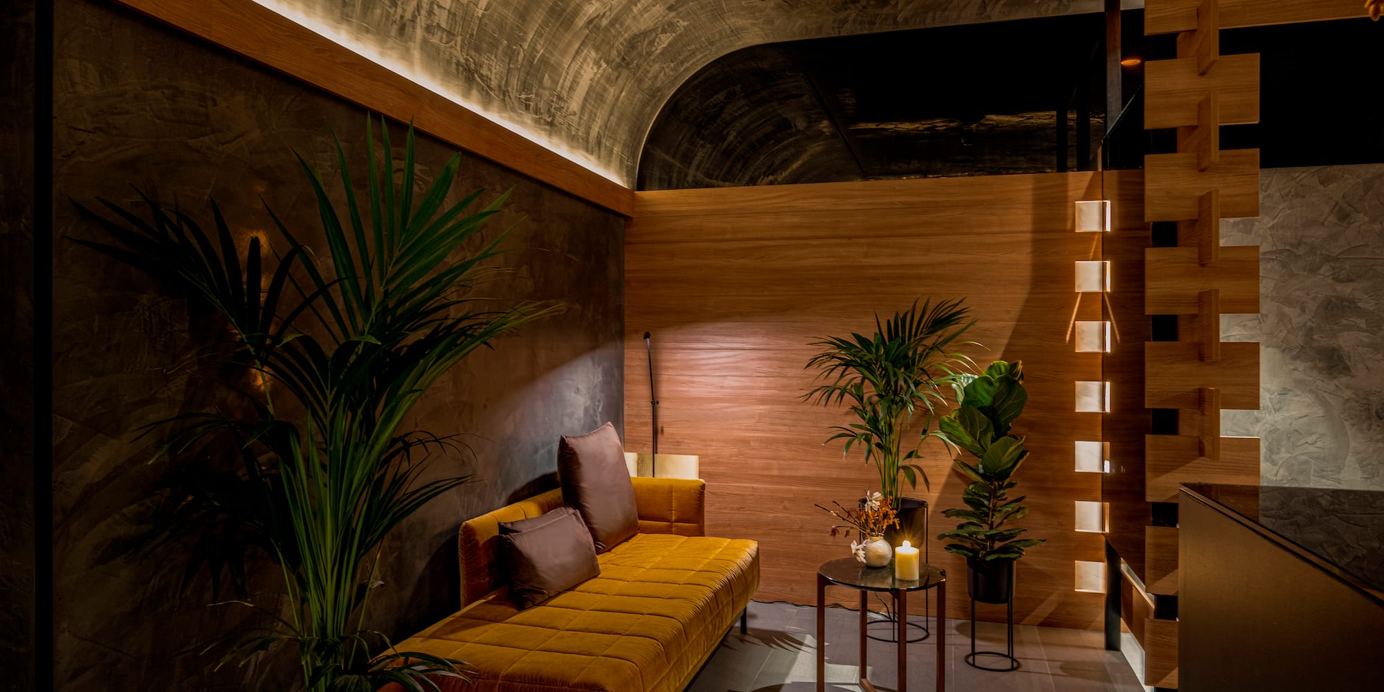 a room with a couch and plants