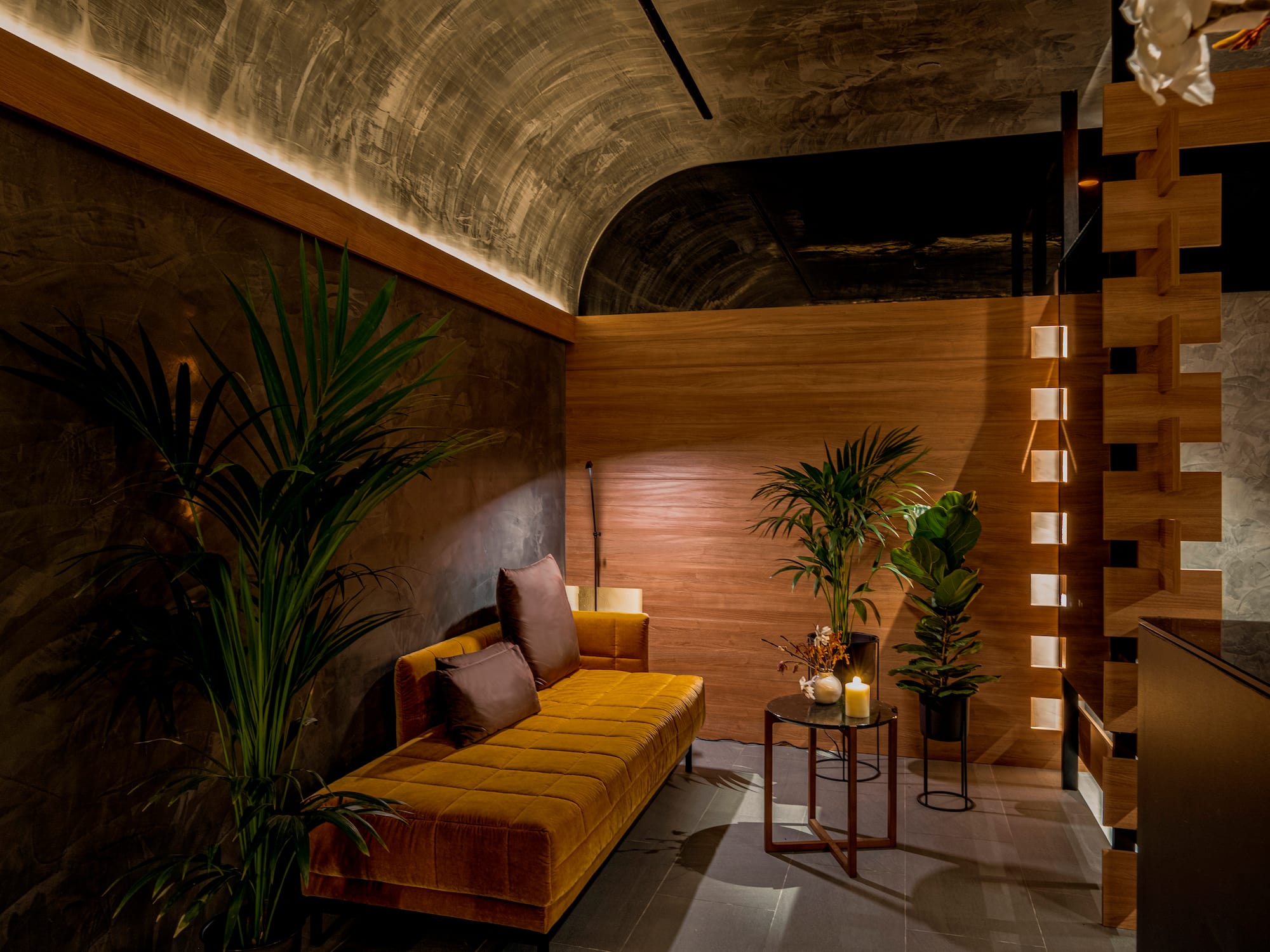 a room with a couch and plants