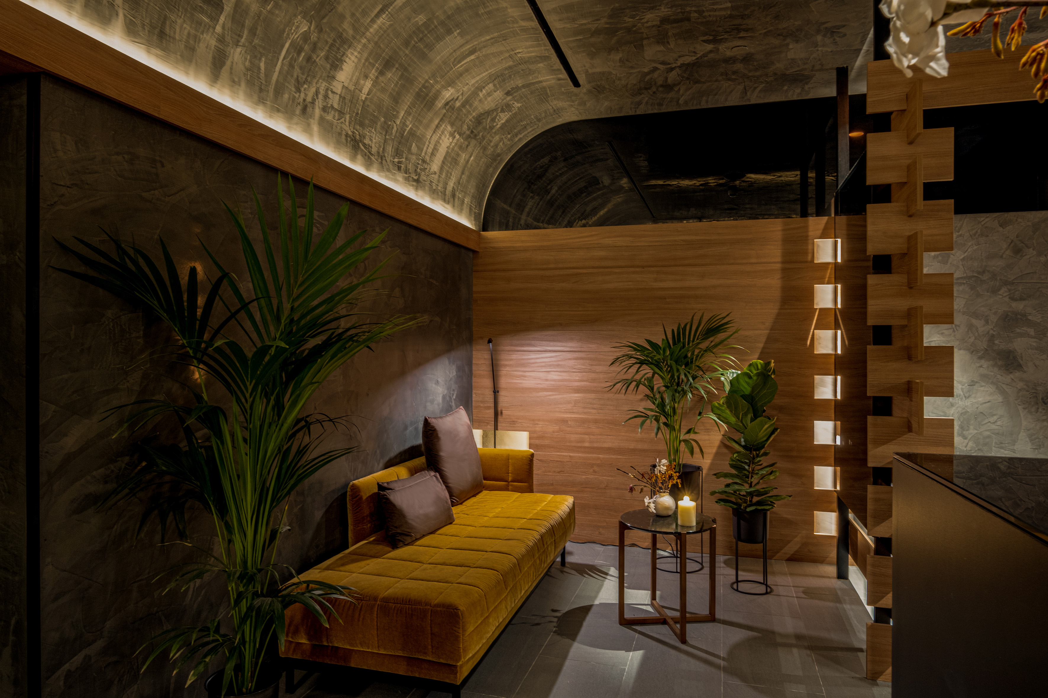 a room with a couch and plants