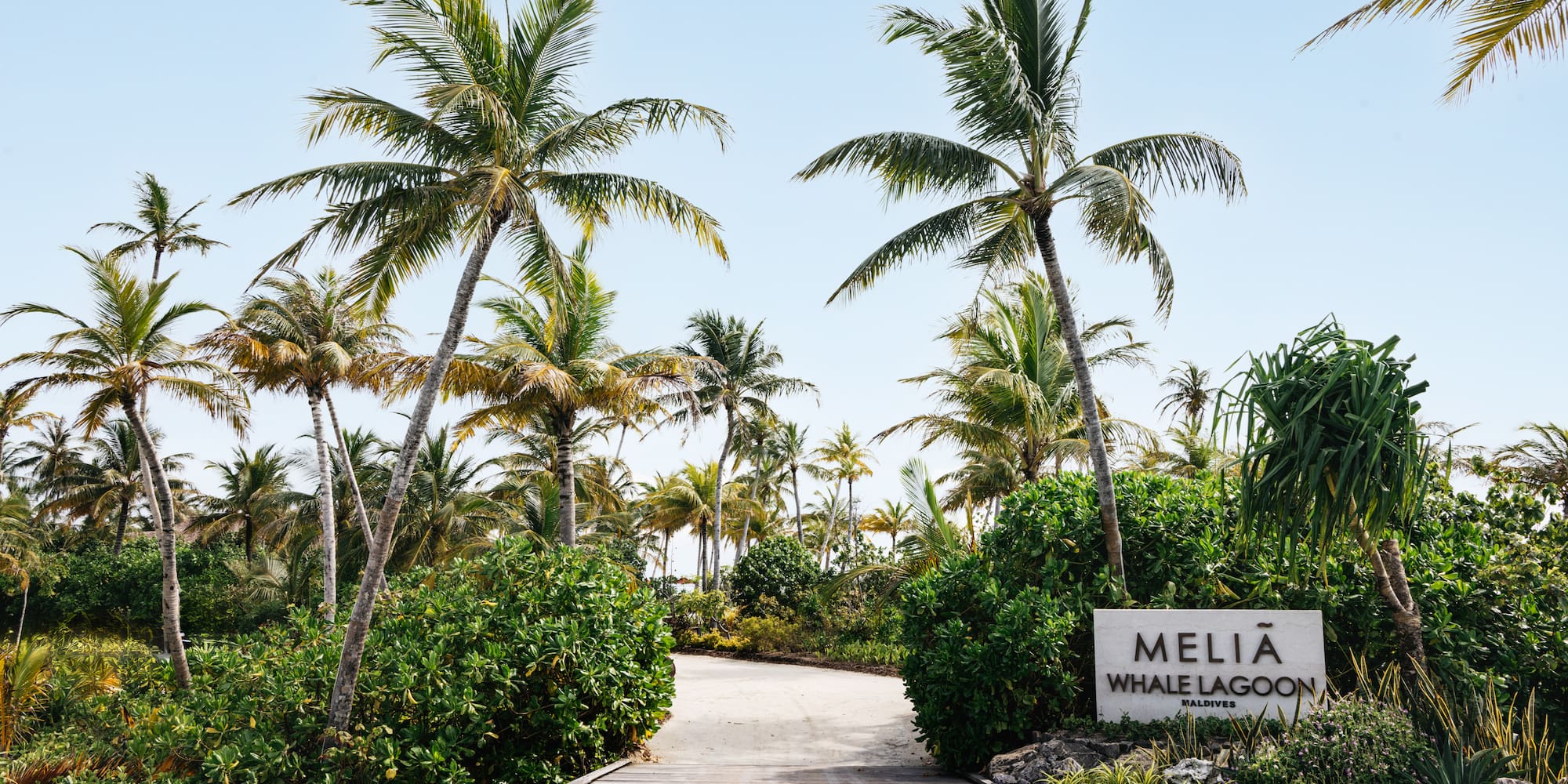 a path leading to a tropical island