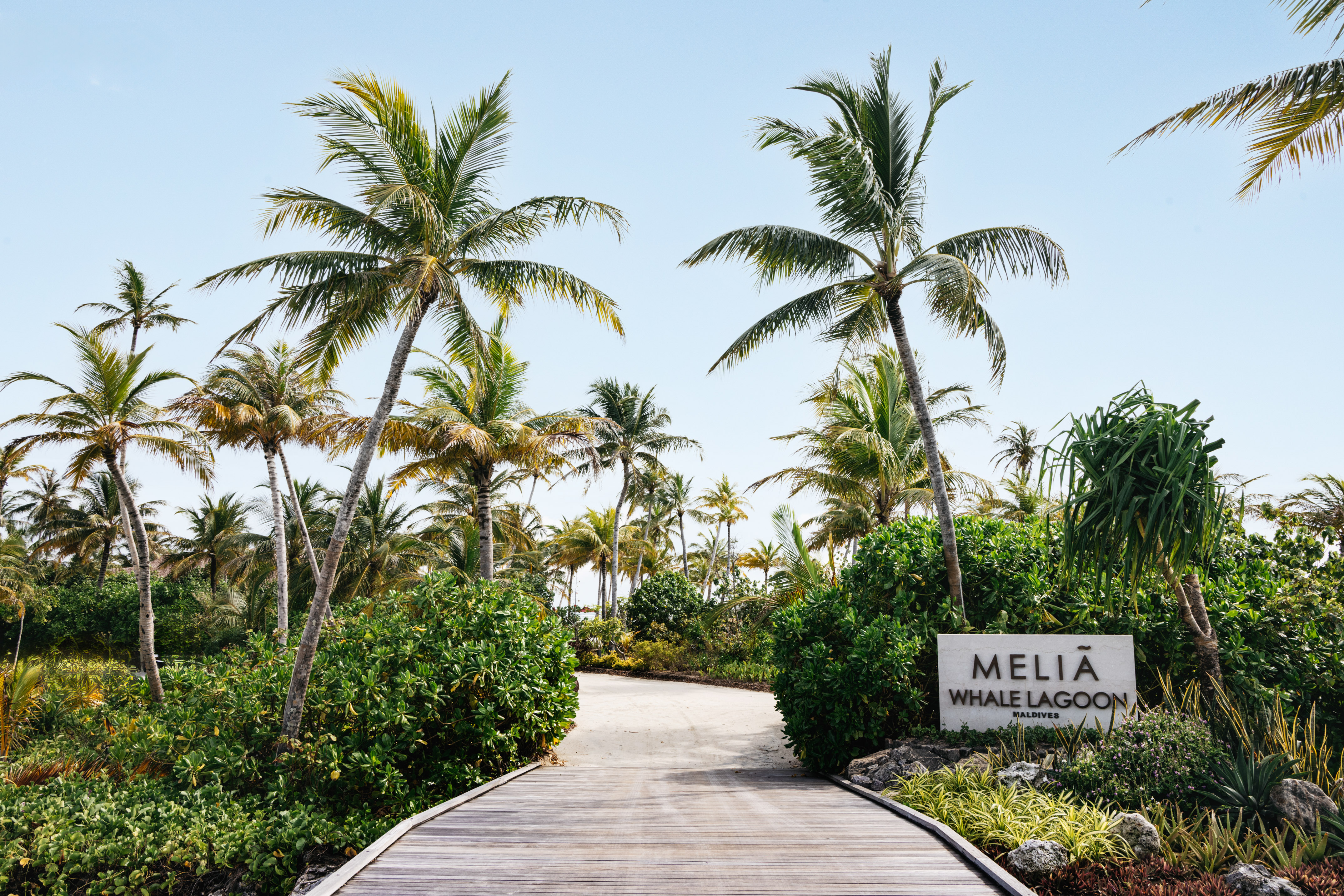a path leading to a tropical island