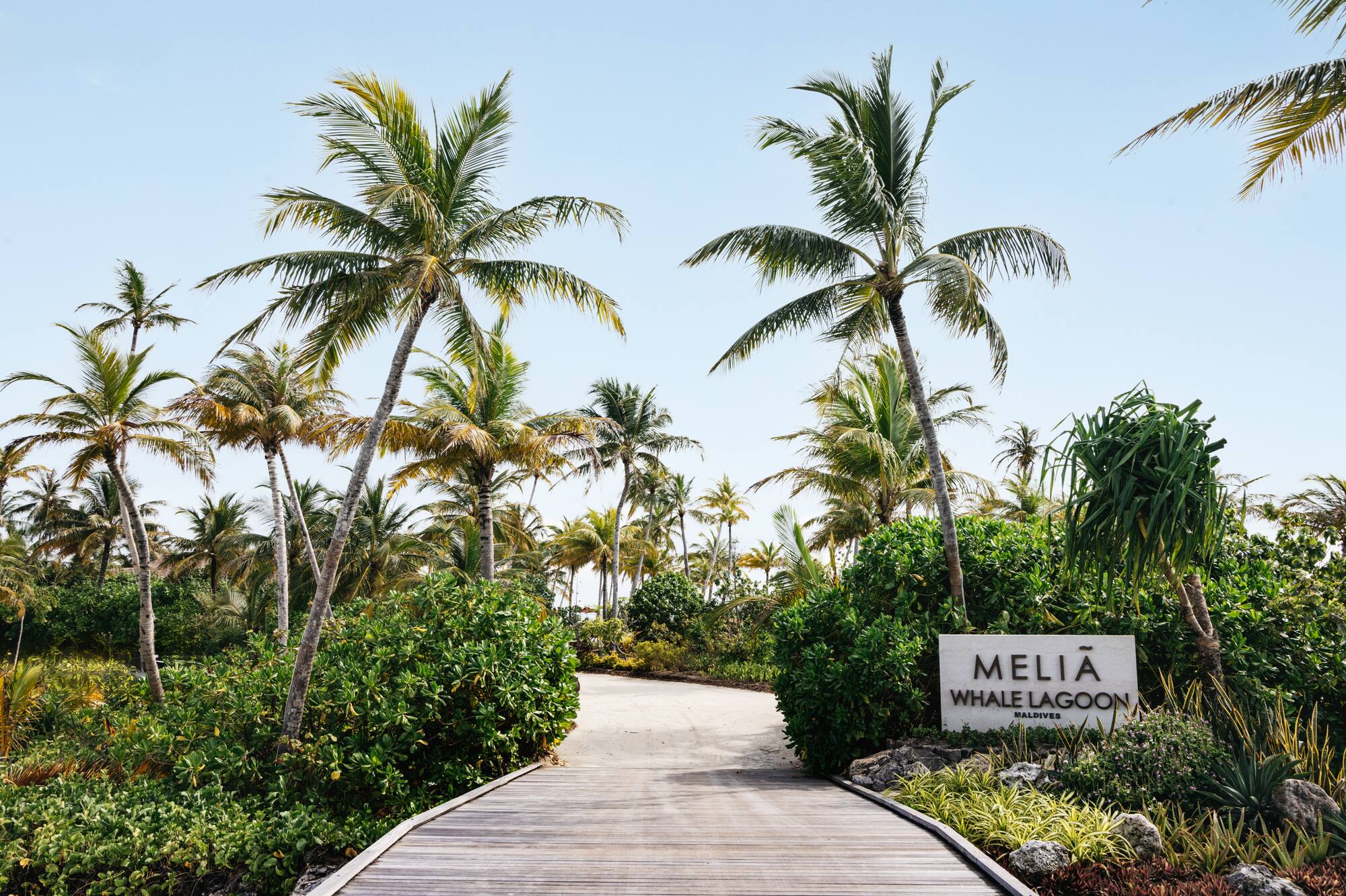 a path leading to a tropical island