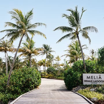 a path leading to a tropical island
