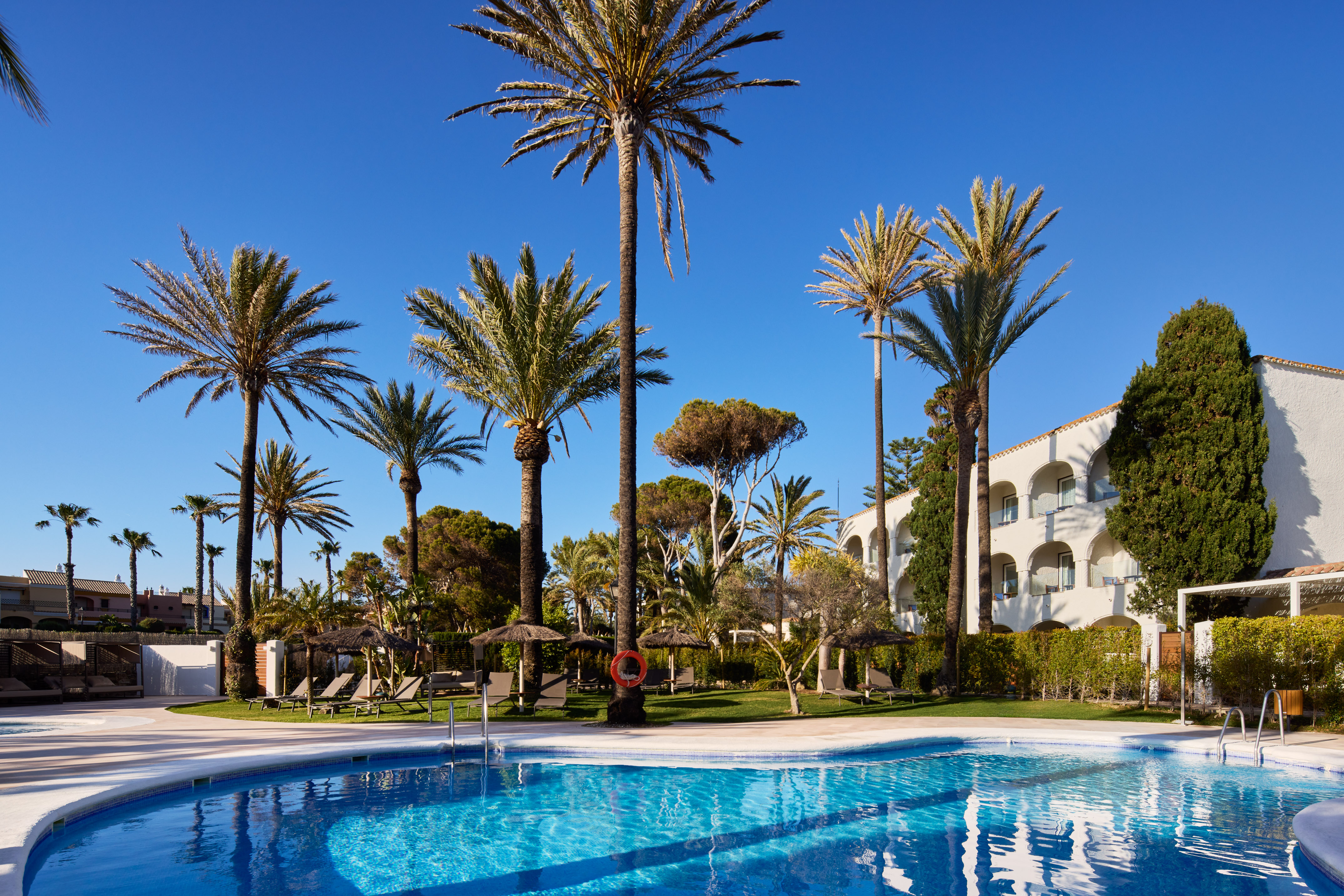 a pool with palm trees and a building in the background