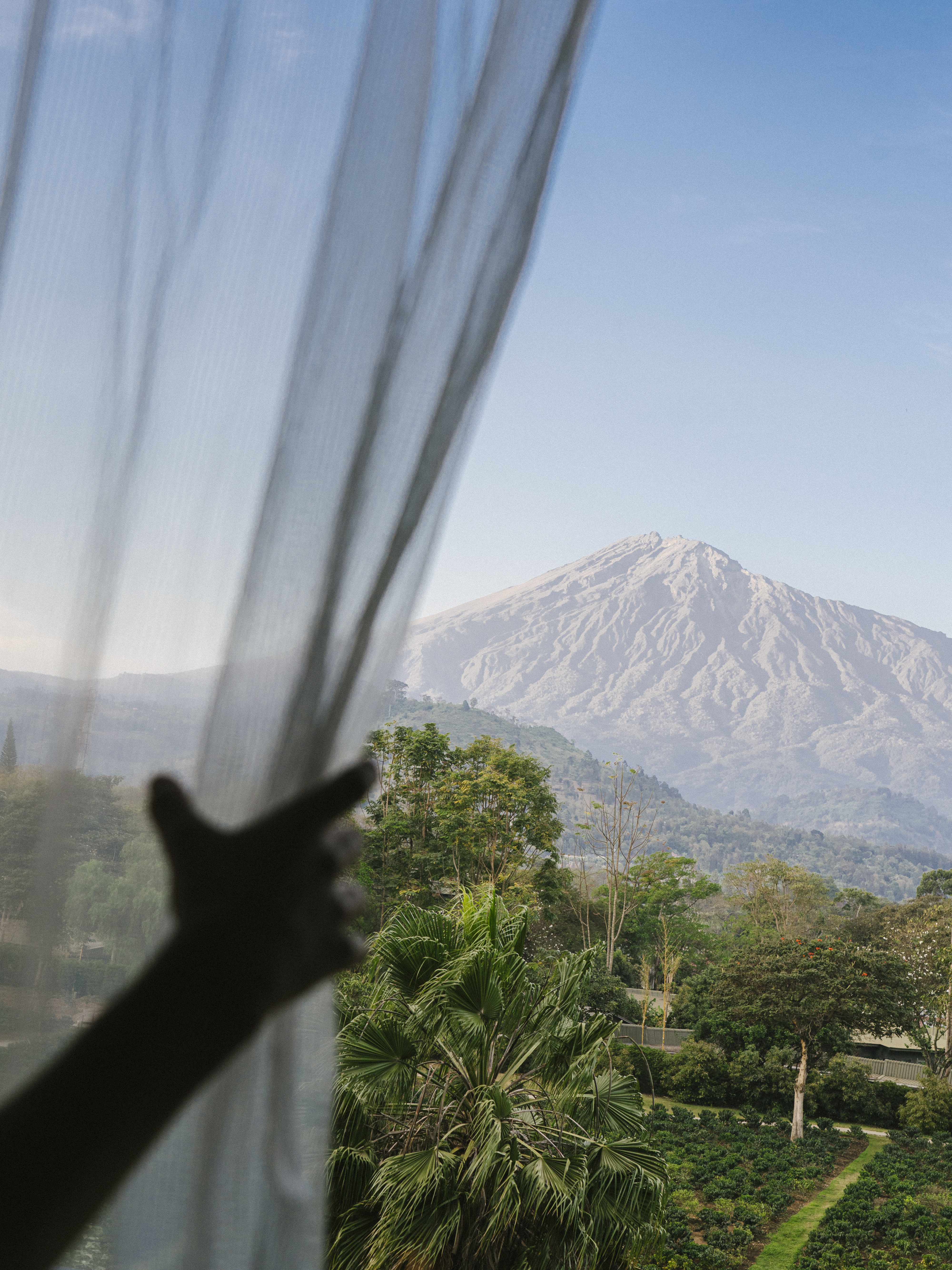 Hand opening sheer curtain revealing mountain, green trees, and coffee farm.
