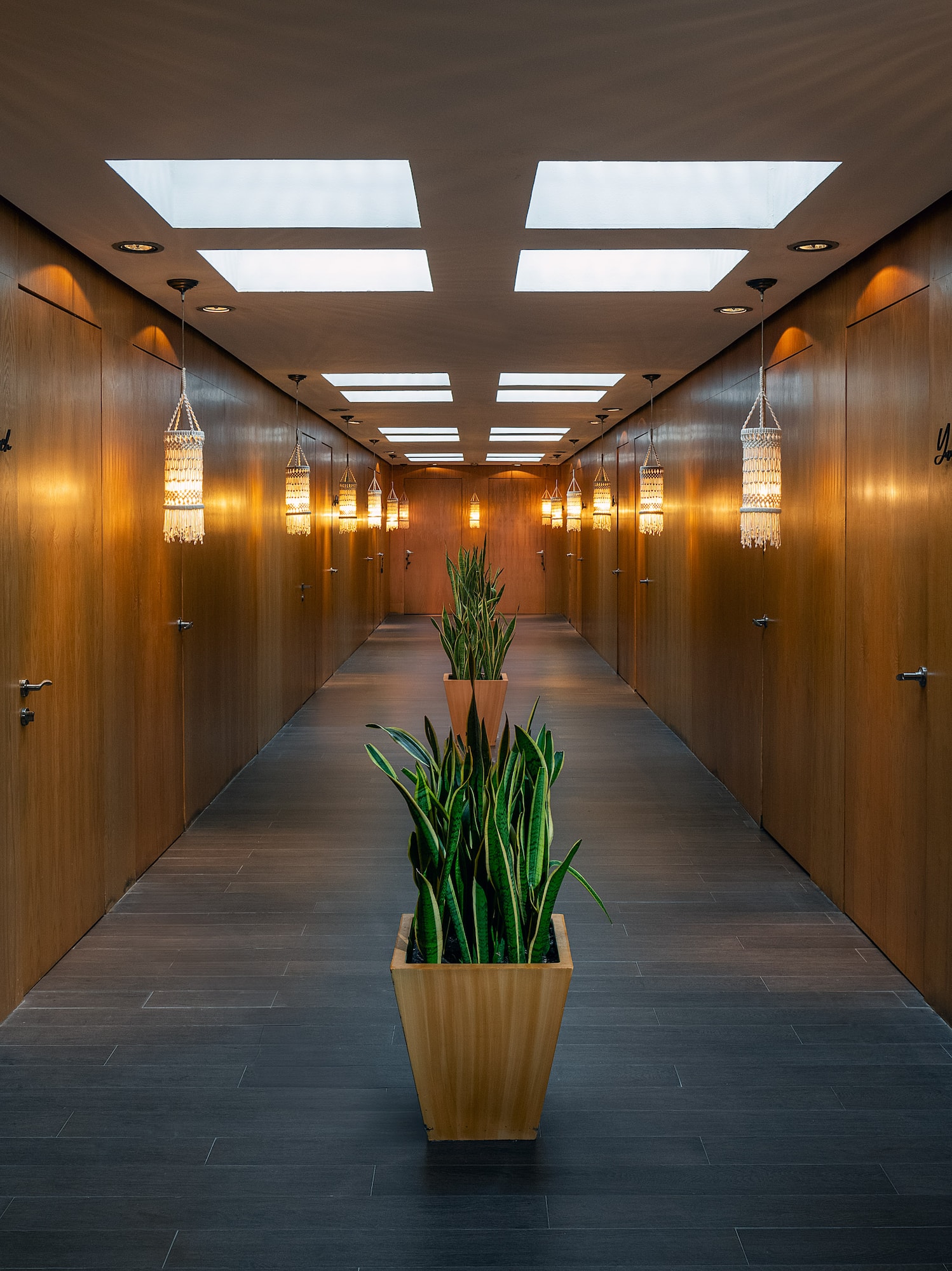 a long hallway with plants in pots