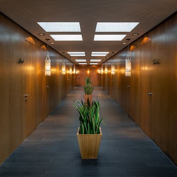 a long hallway with plants in pots