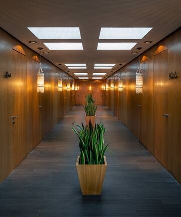 a long hallway with plants in pots