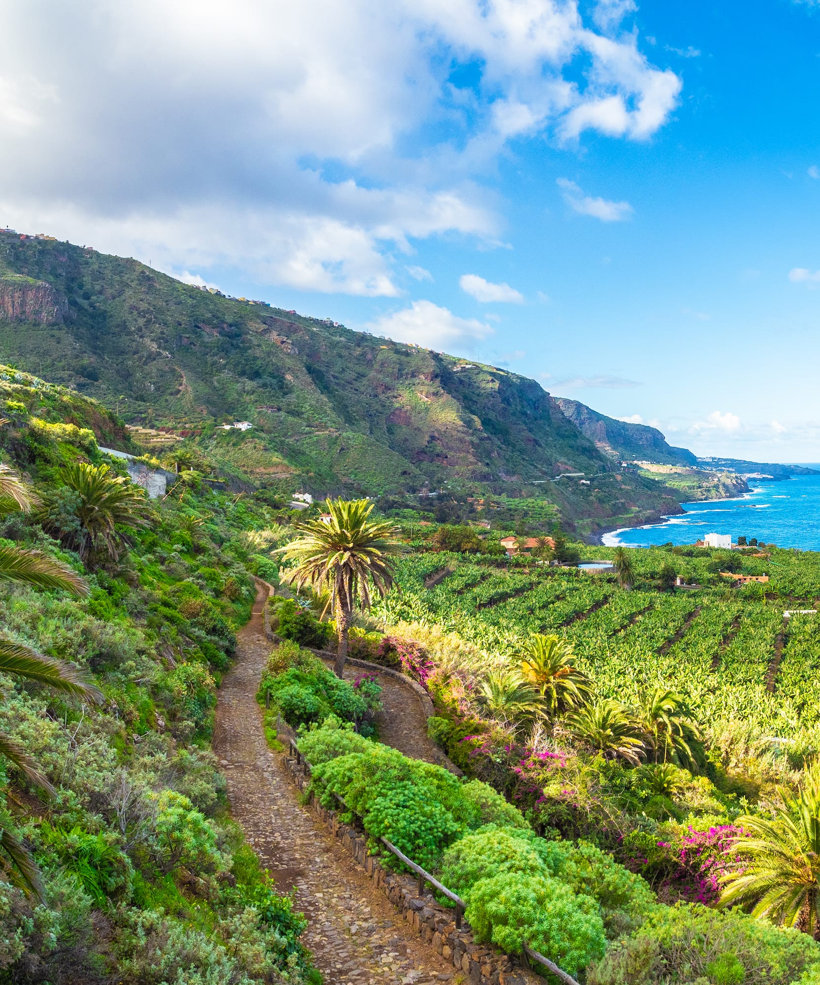 a path leading to a beach