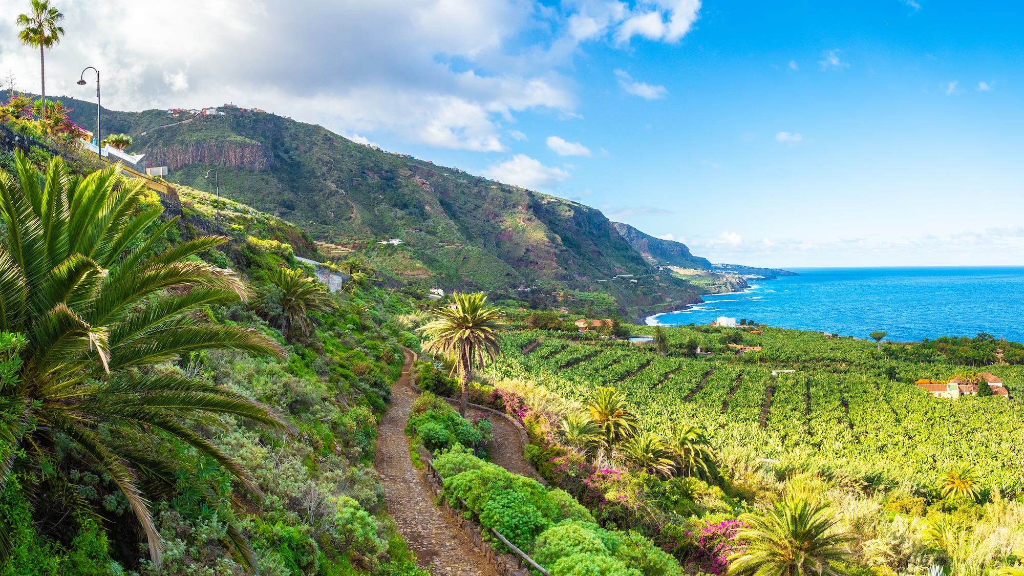 a path leading to a beach