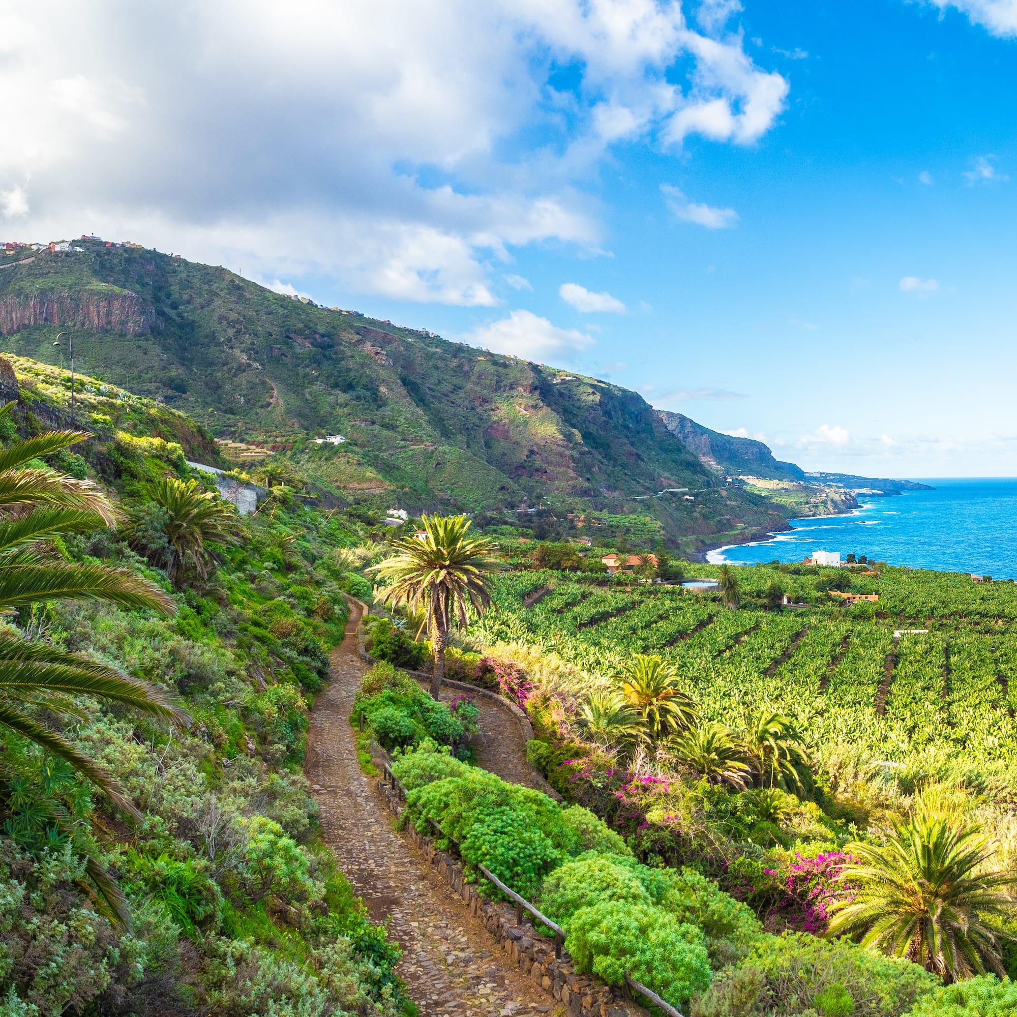 a path leading to a beach