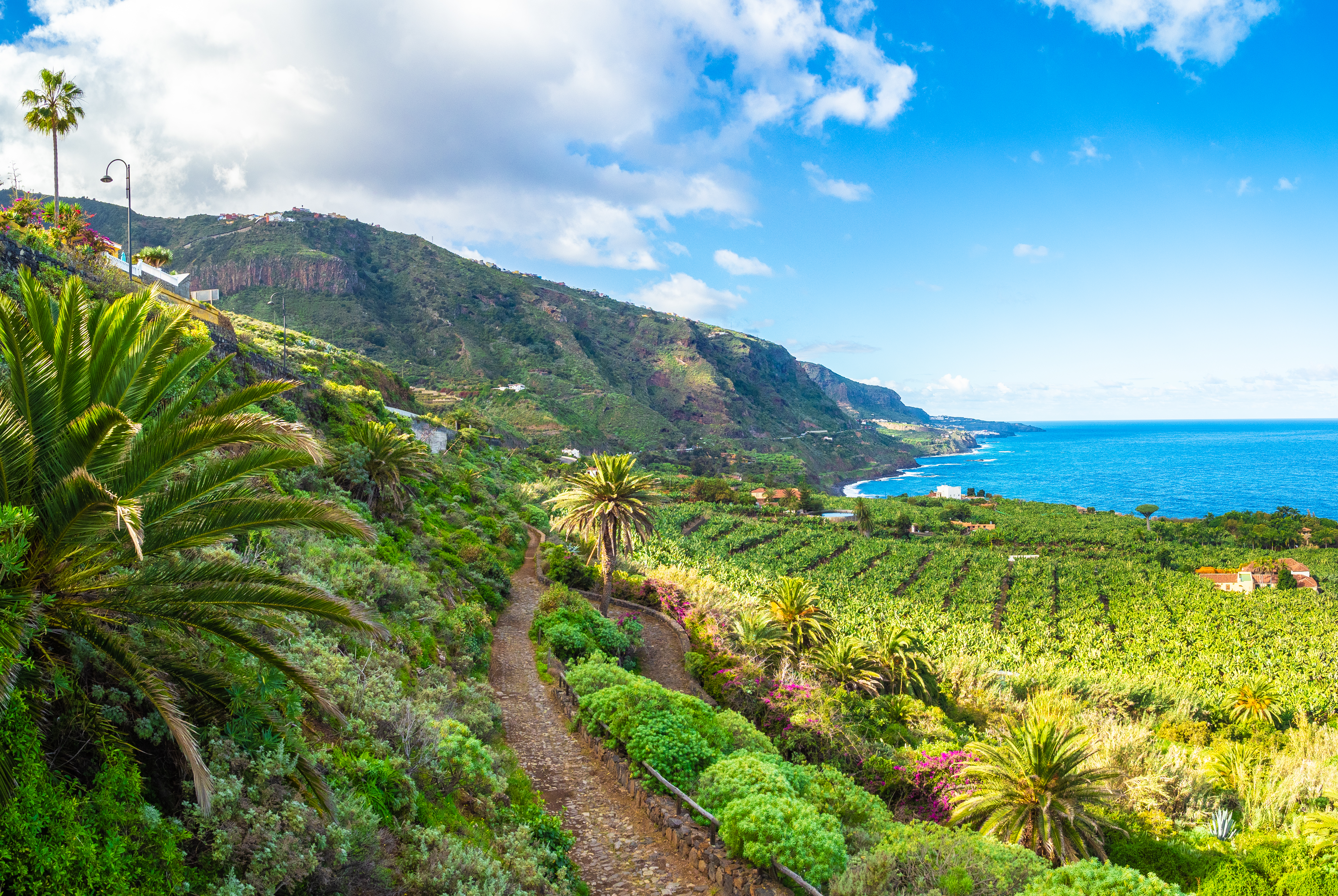 a path leading to a beach