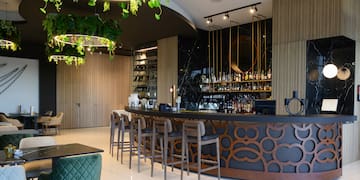 a bar with a long counter and chairs in a room with plants from the ceiling