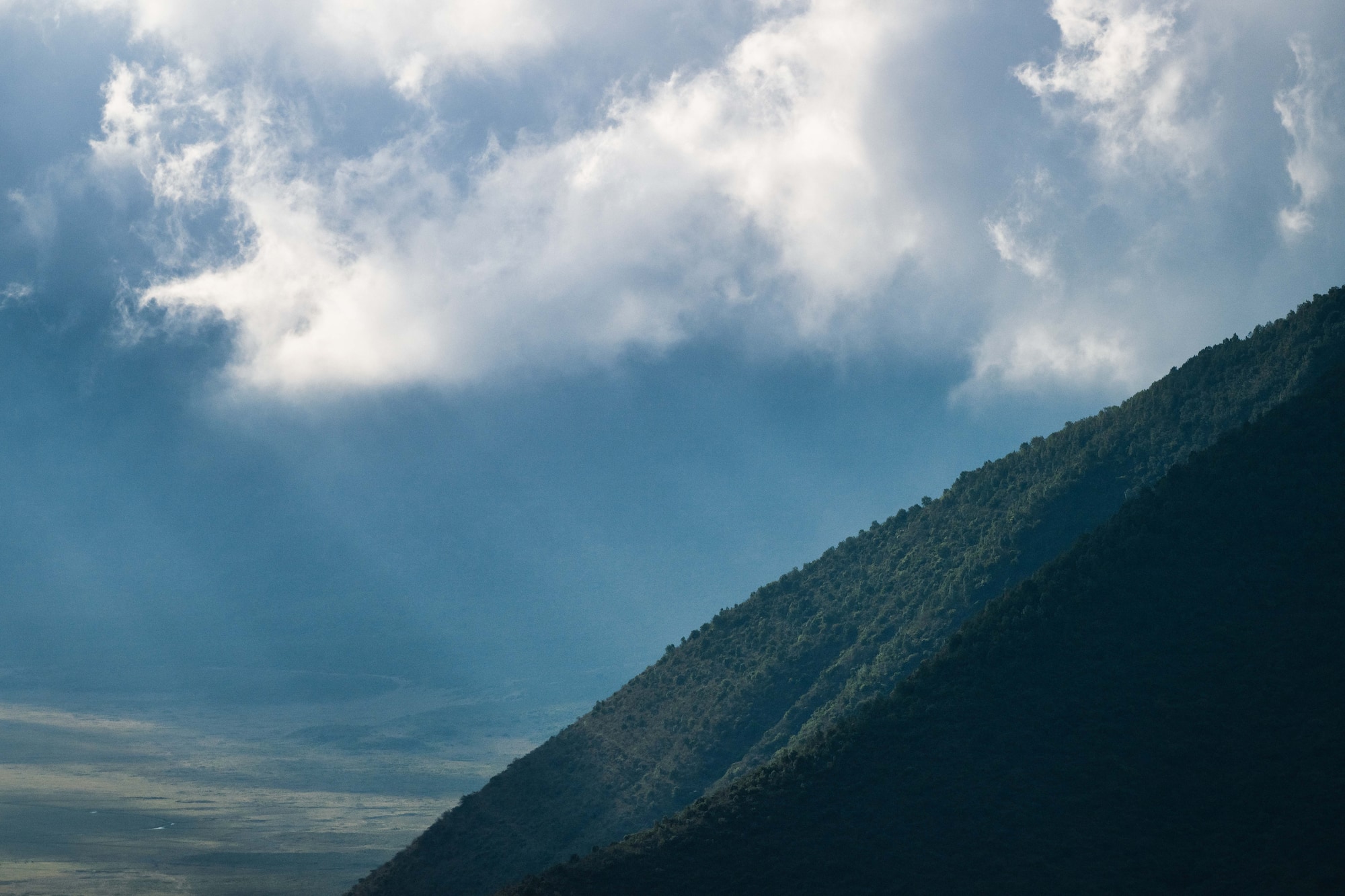 Forested mountain slope under cloudy sky overlooking a vast, hazy valley.