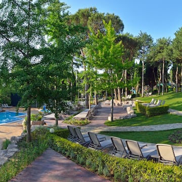 a pool with lawn chairs and trees