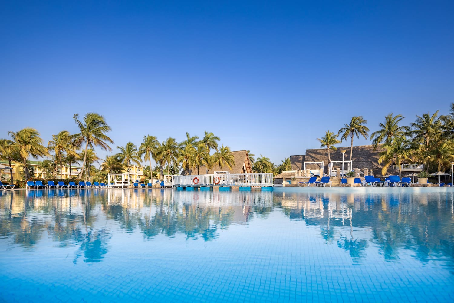 a pool with palm trees and a building