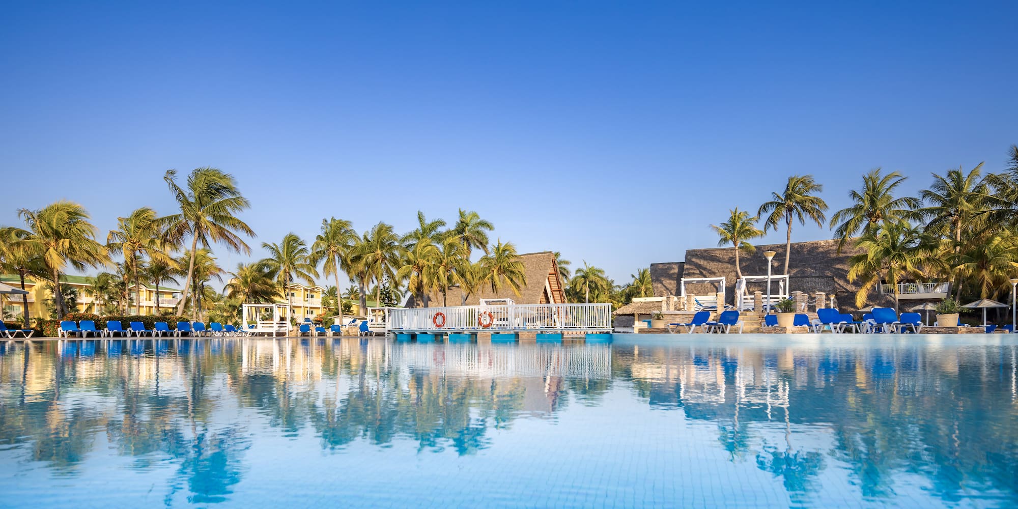 a pool with palm trees and a building