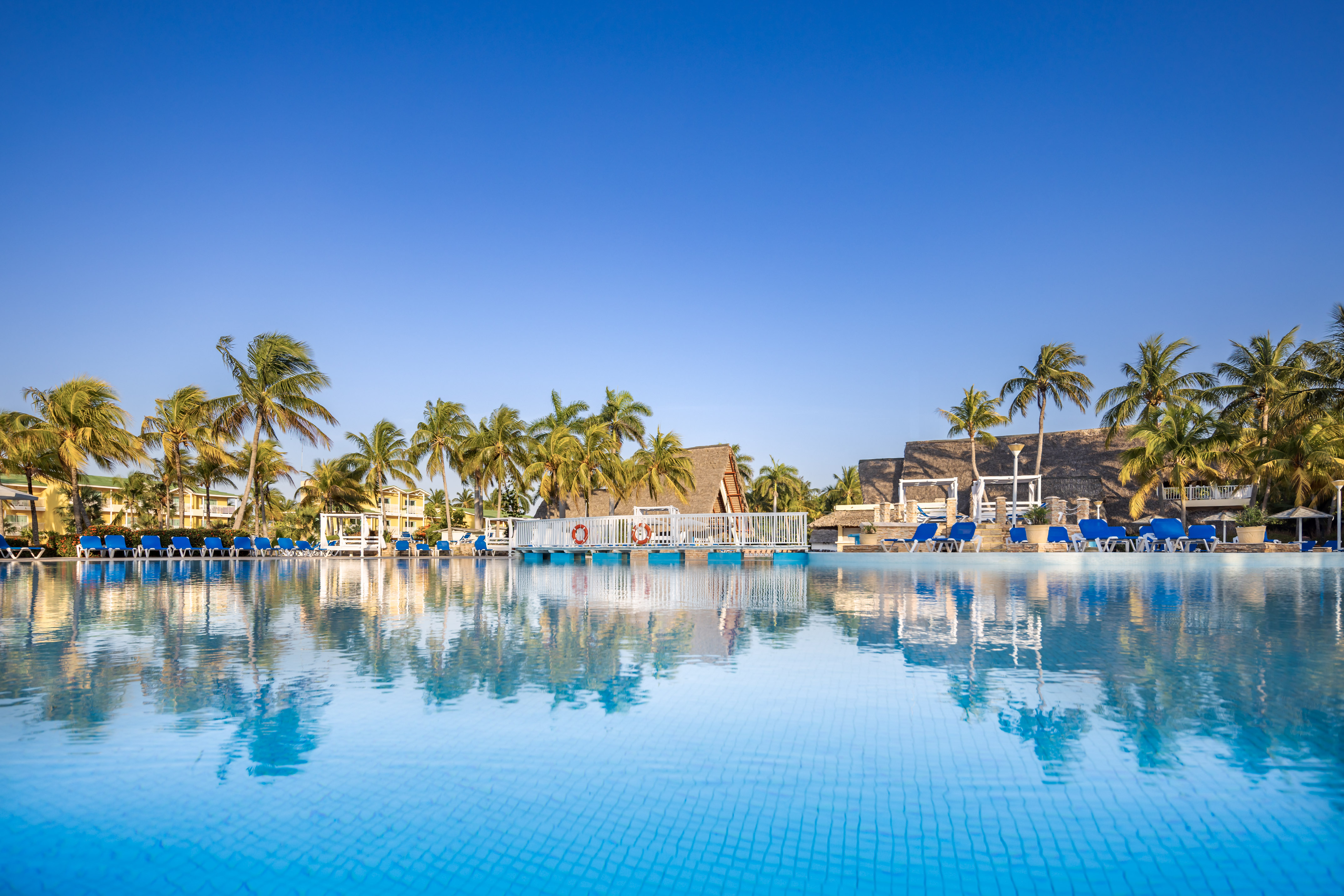 a pool with palm trees and a building