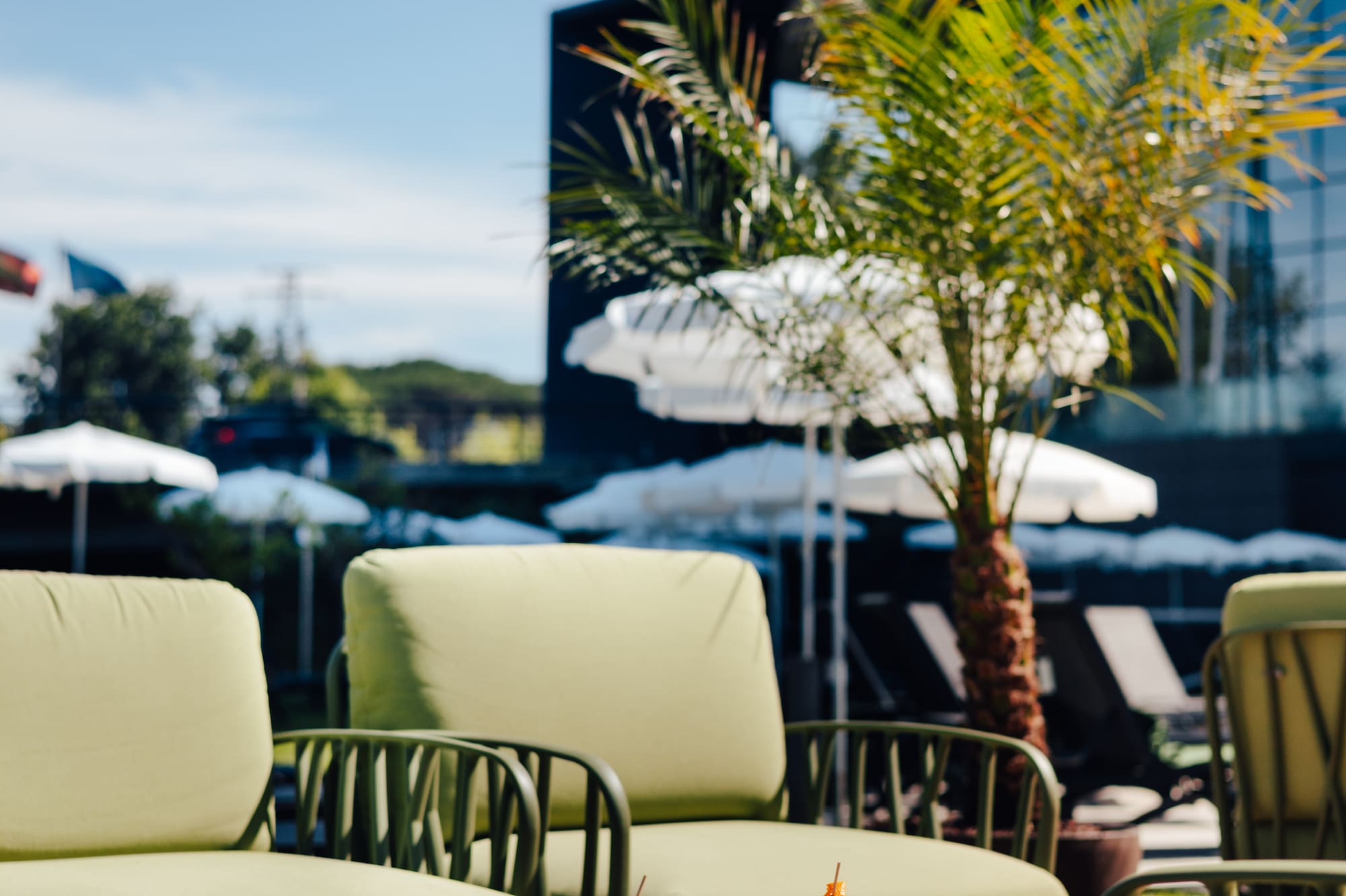 Sunny resort patio with club sandwiches, fries, cocktail, green lounge chairs.