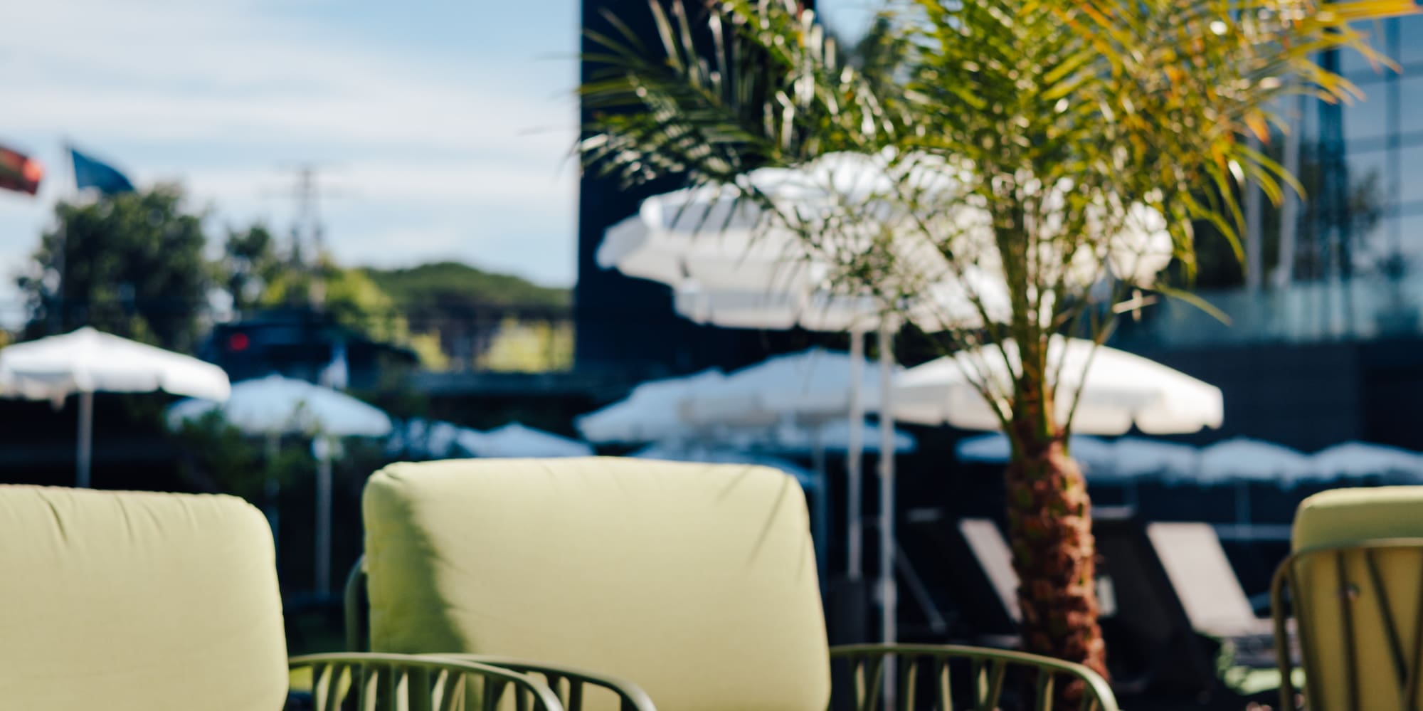 Sunny resort patio with club sandwiches, fries, cocktail, green lounge chairs.