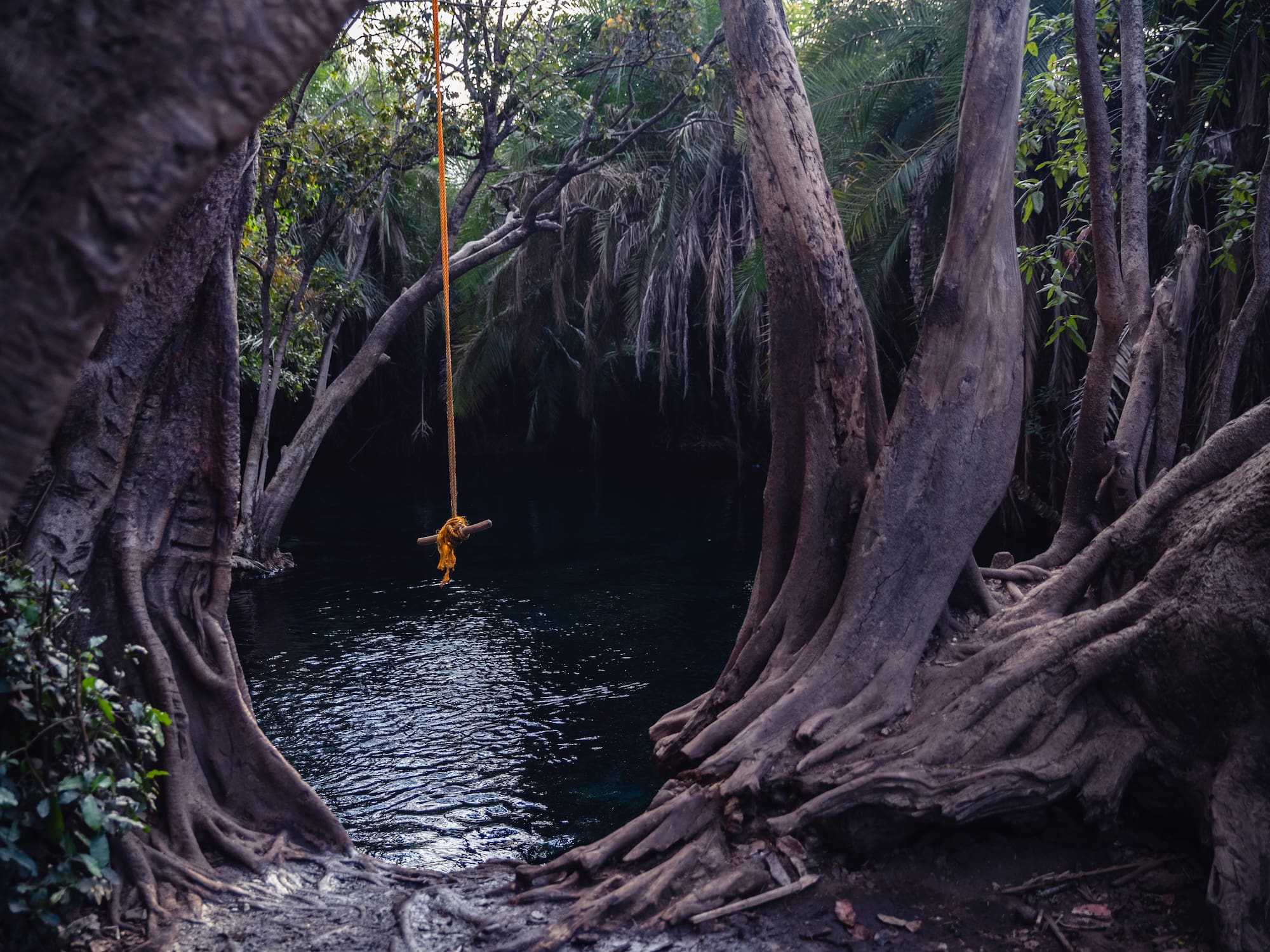 a rope tied to a river