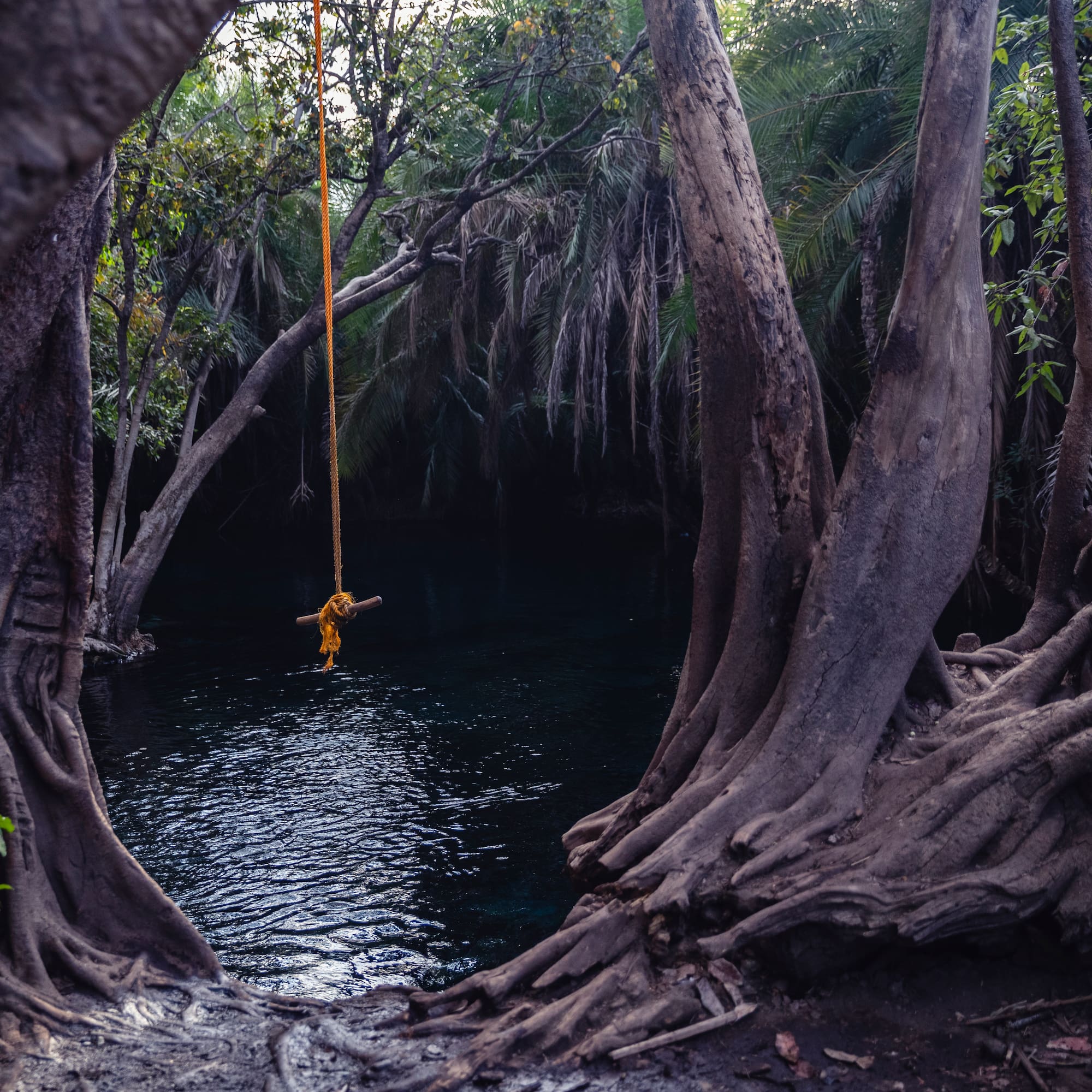 a rope tied to a river