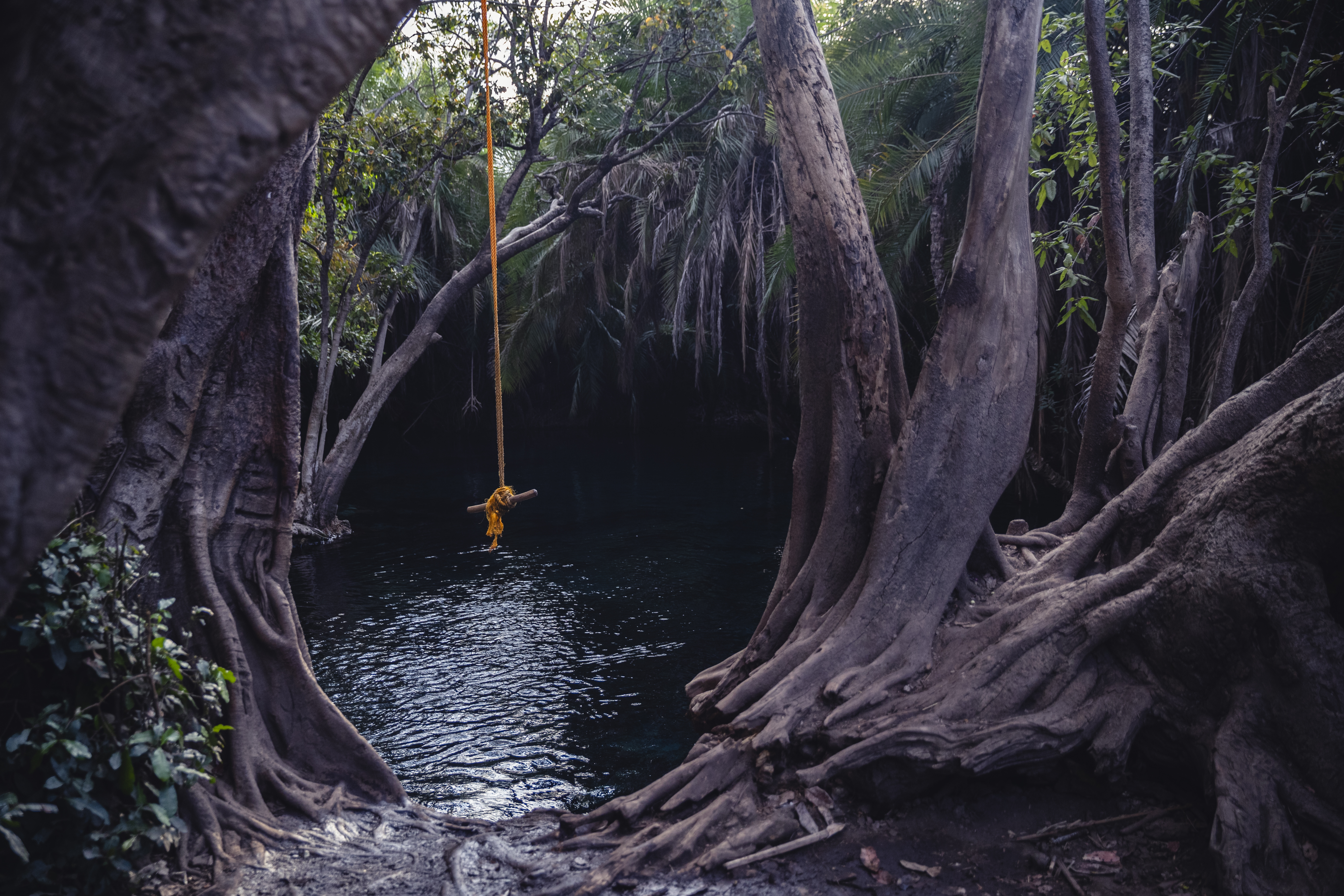 a rope tied to a river