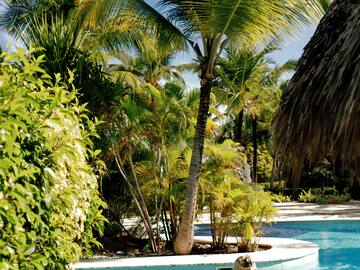 Couple relaxing by a resort pool with tropical palm trees.