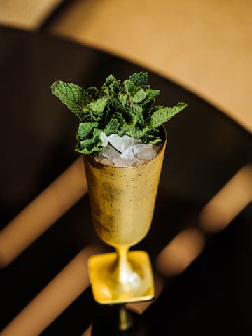a gold cup with ice and mint leaves