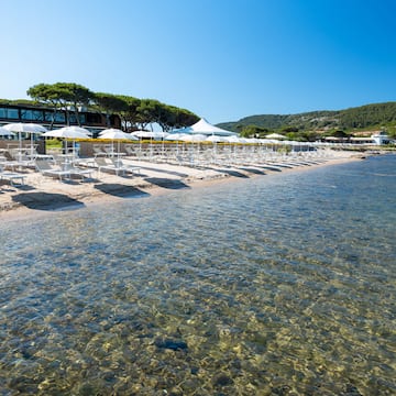 a beach with umbrellas and chairs