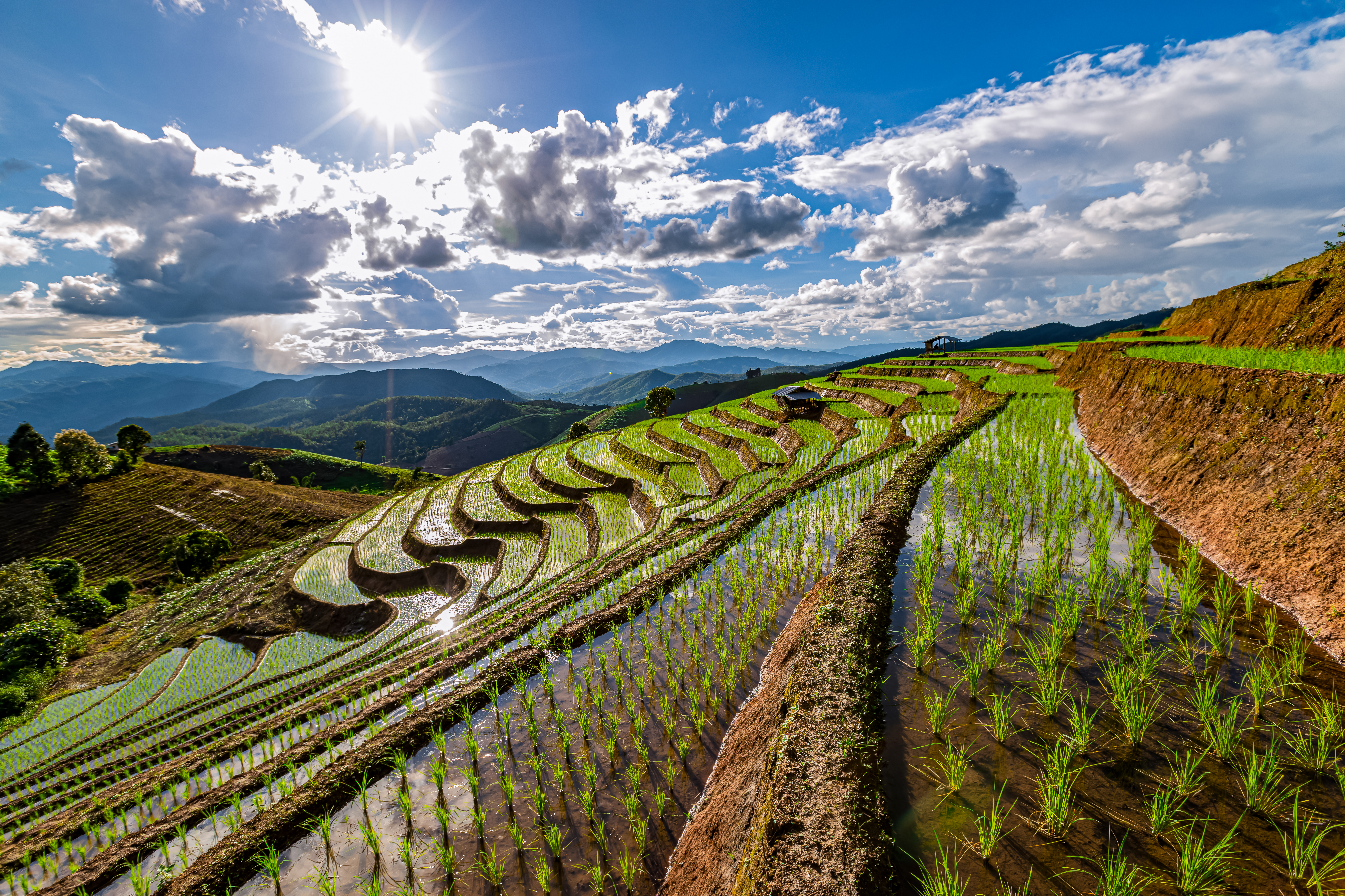 Green rice terraces with water reflecting sun, distant mountains, blue sky.